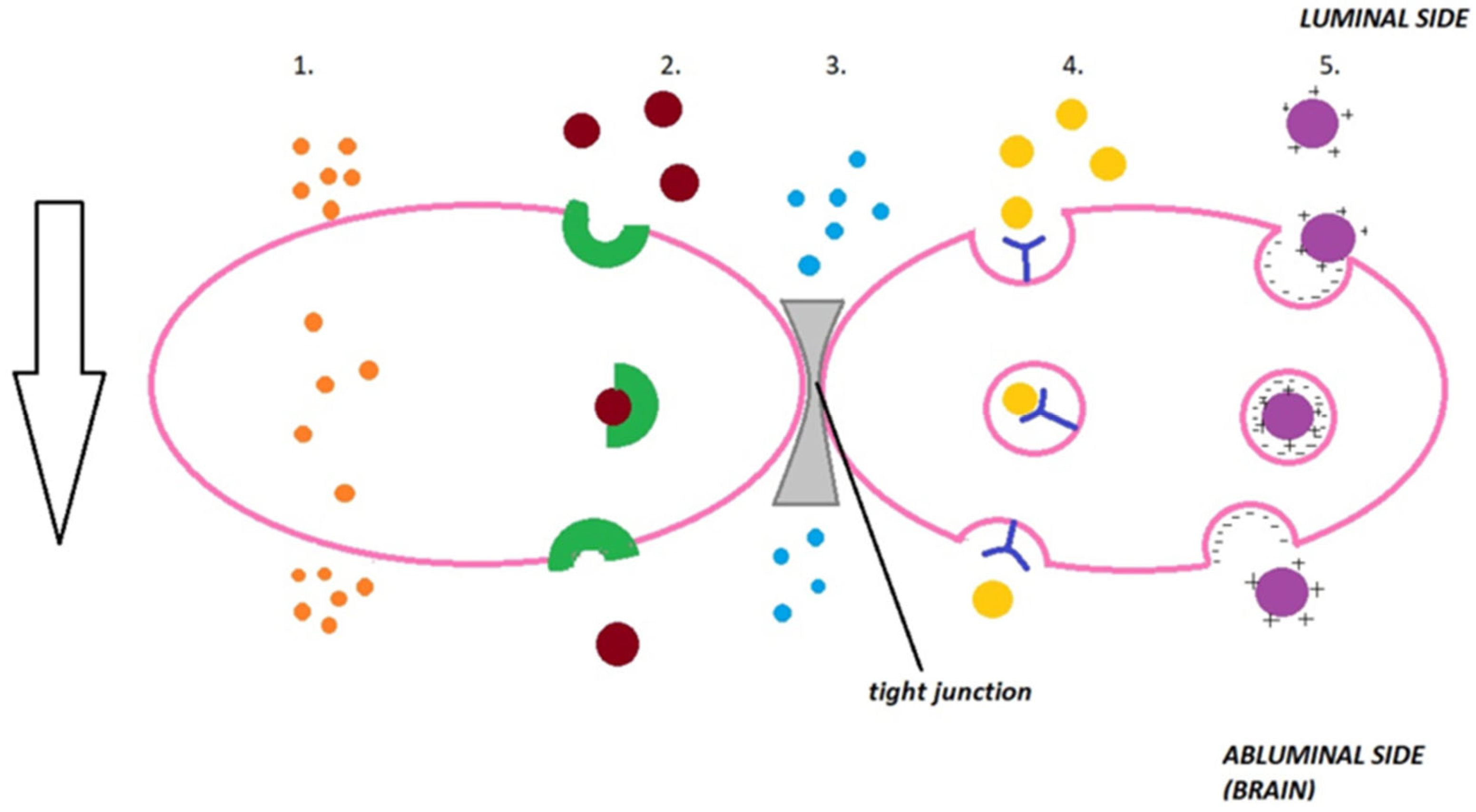 Molecules 31 00617 g003