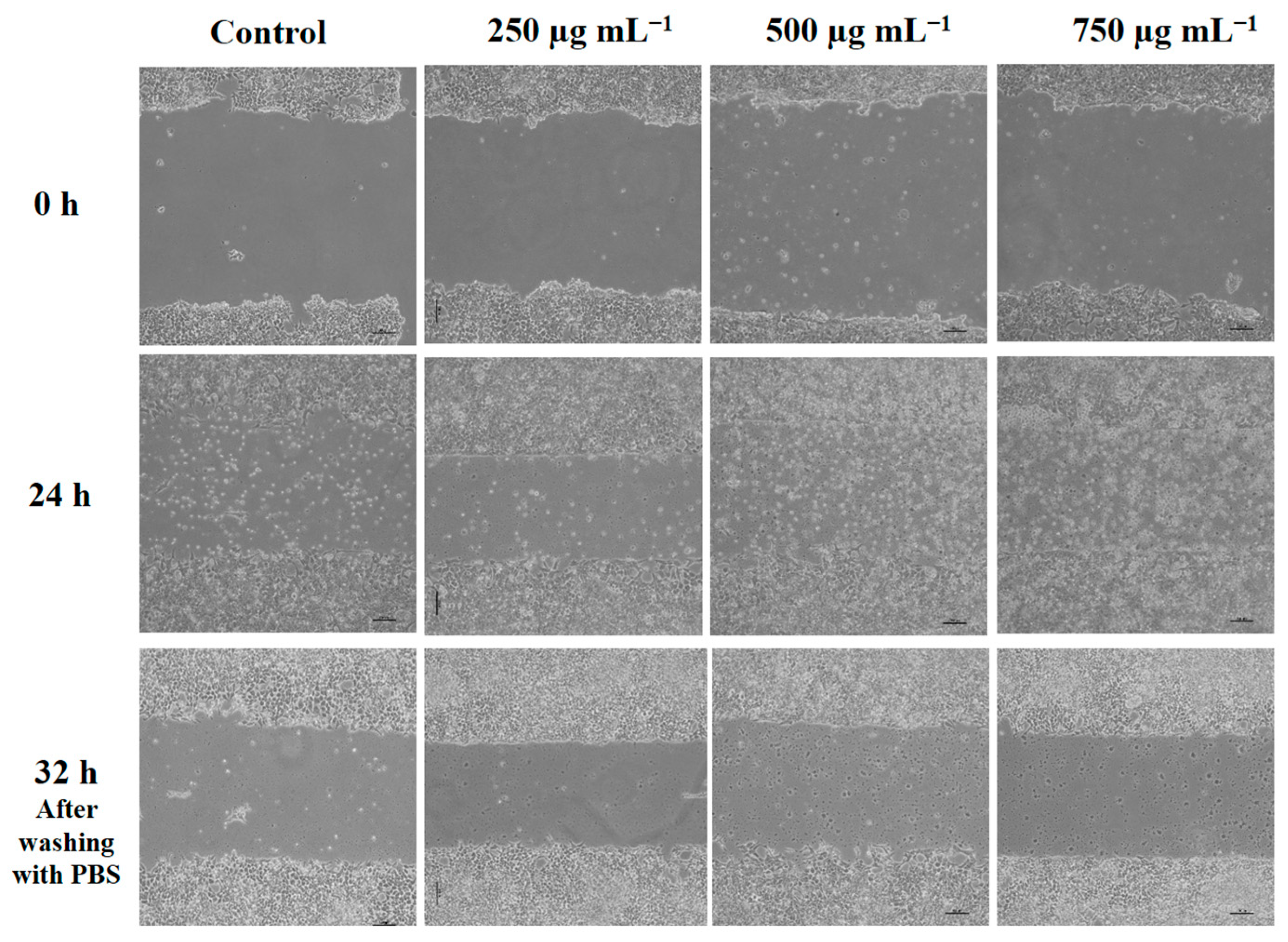 Molecules 31 00653 g008