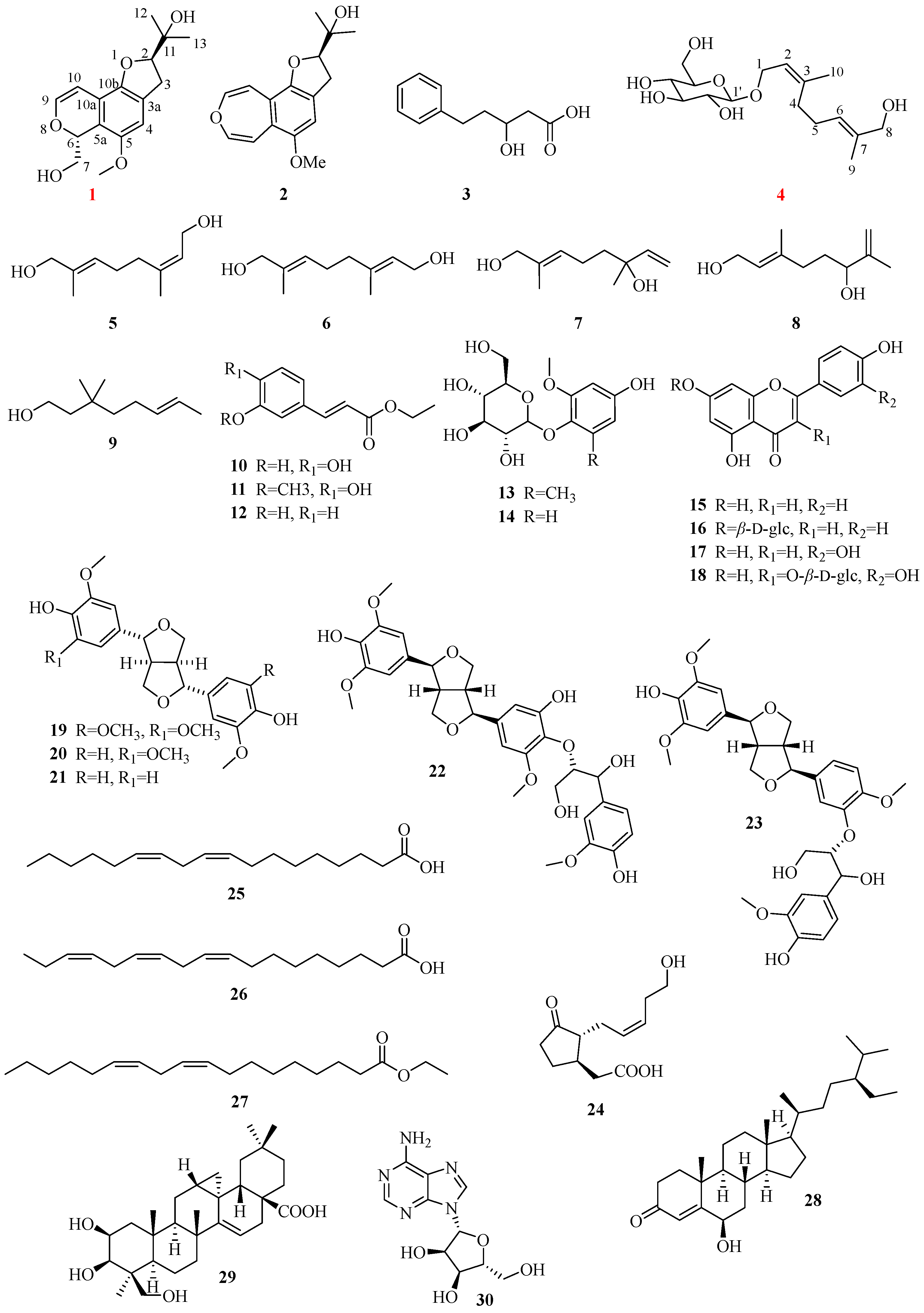 Molecules 31 00662 g001
