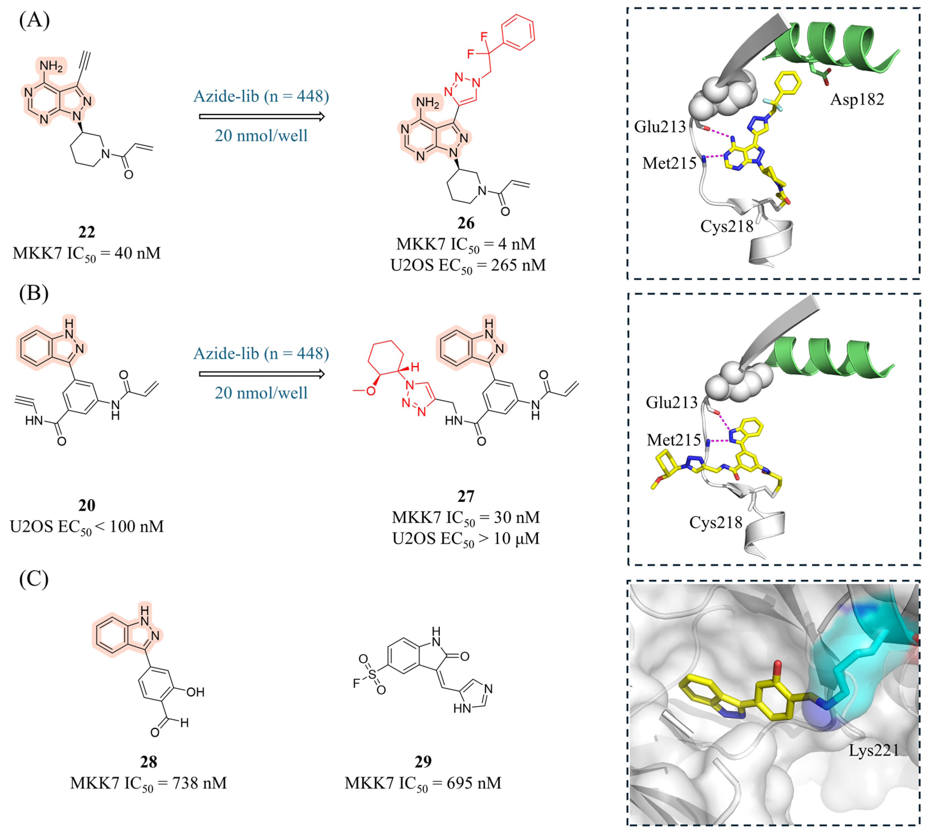 Molecules 31 00672 g010