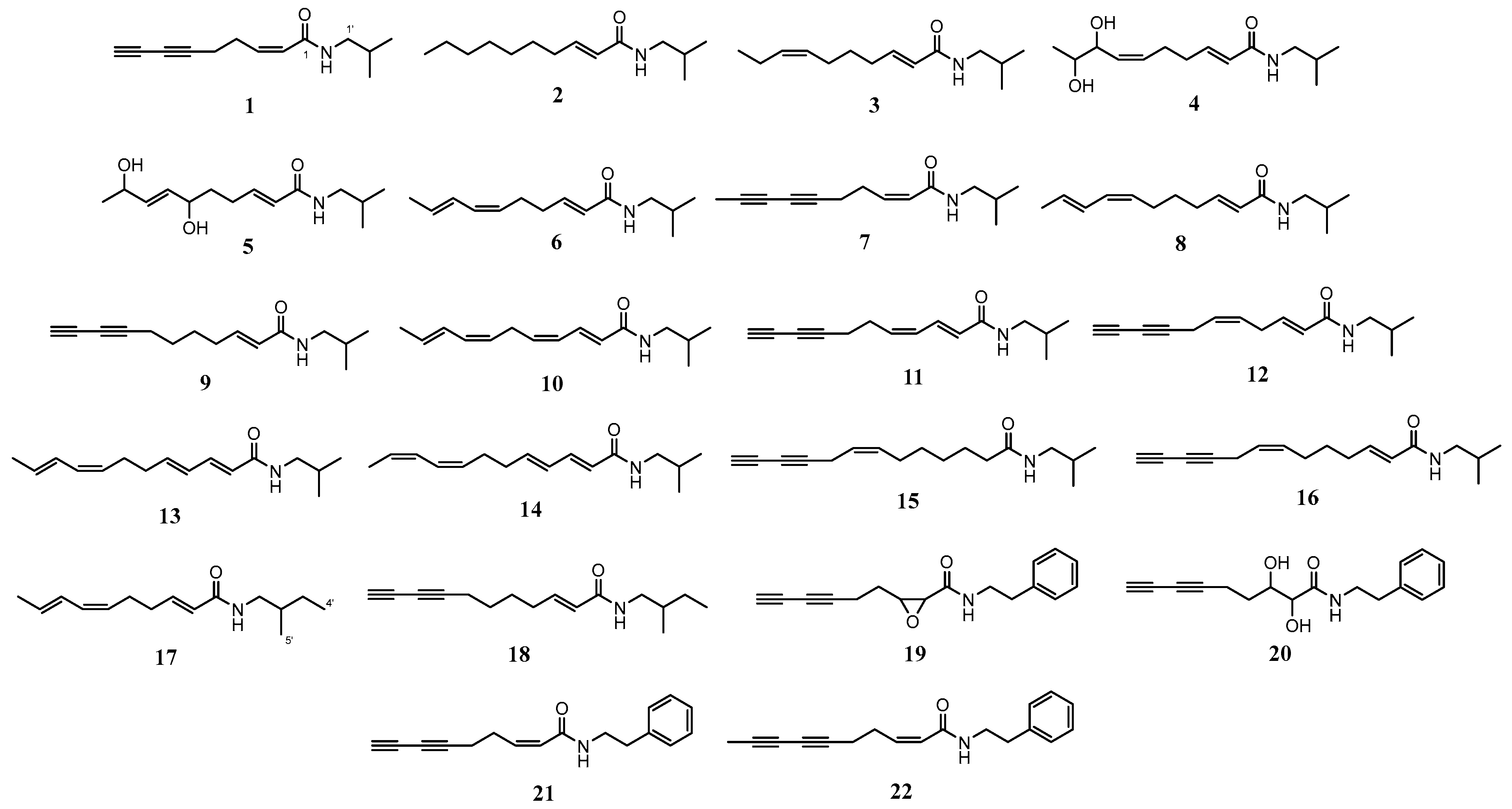 Botany, Ethnopharmacology, Phytochemistry, and Biological Activities of ...