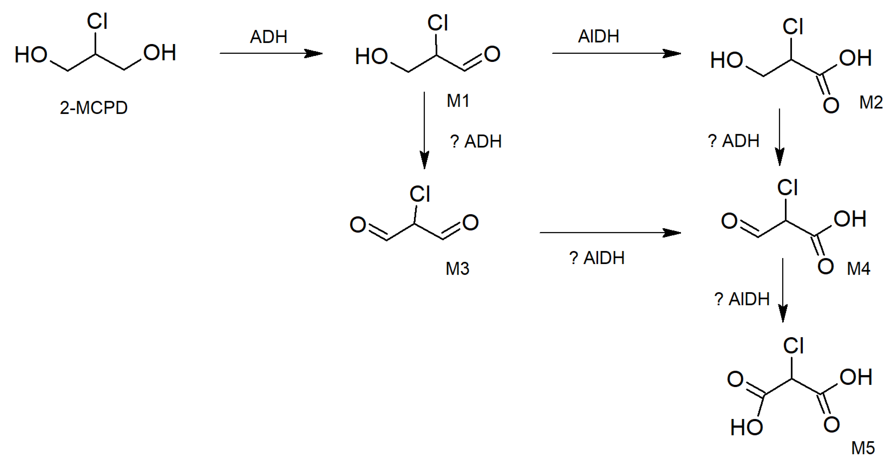 Molecules 31 00692 g002