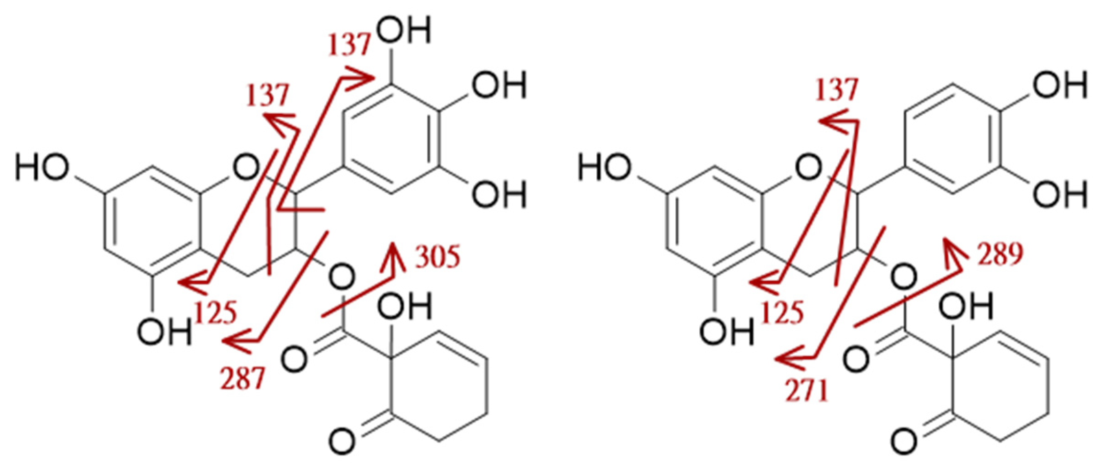 Molecules 31 00702 g005 Molecules 31 00702 g005