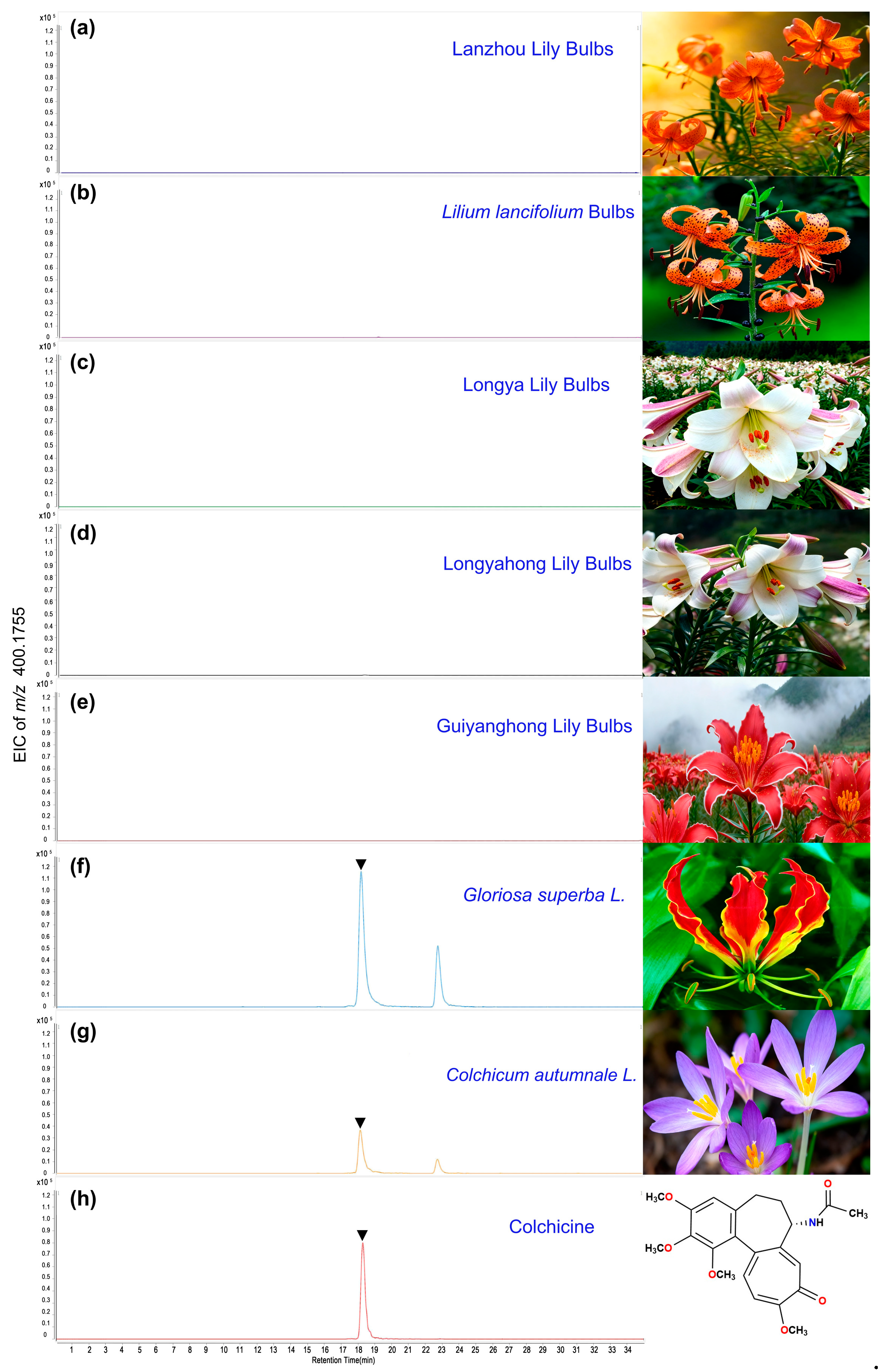 Molecules 31 00721 g001 Molecules 31 00721 g001