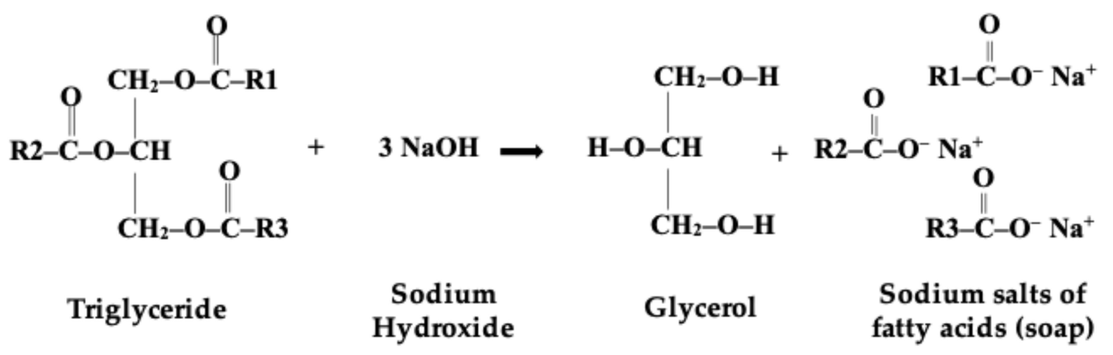 Molecules 31 00734 g001