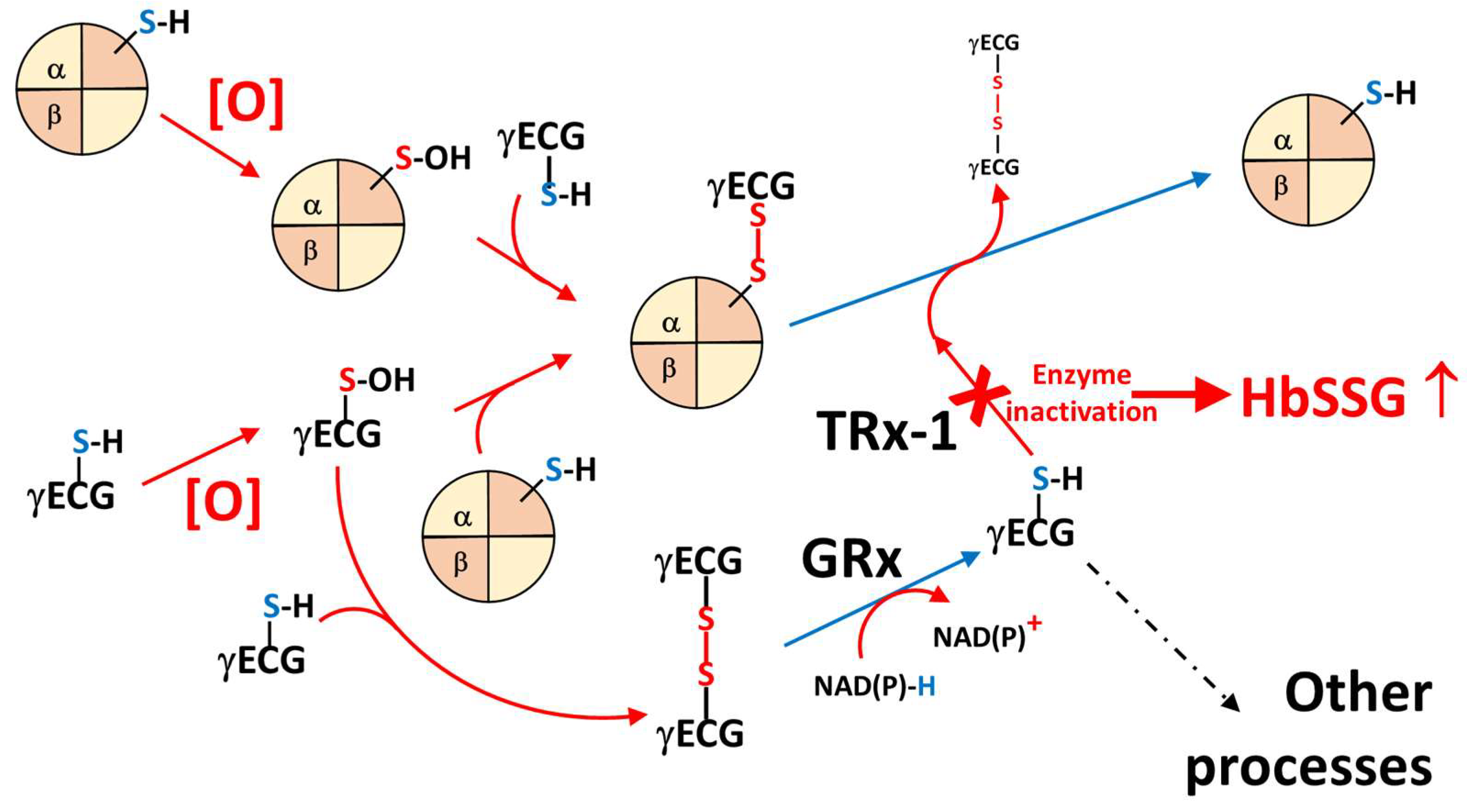 Molecules 31 00811 g009