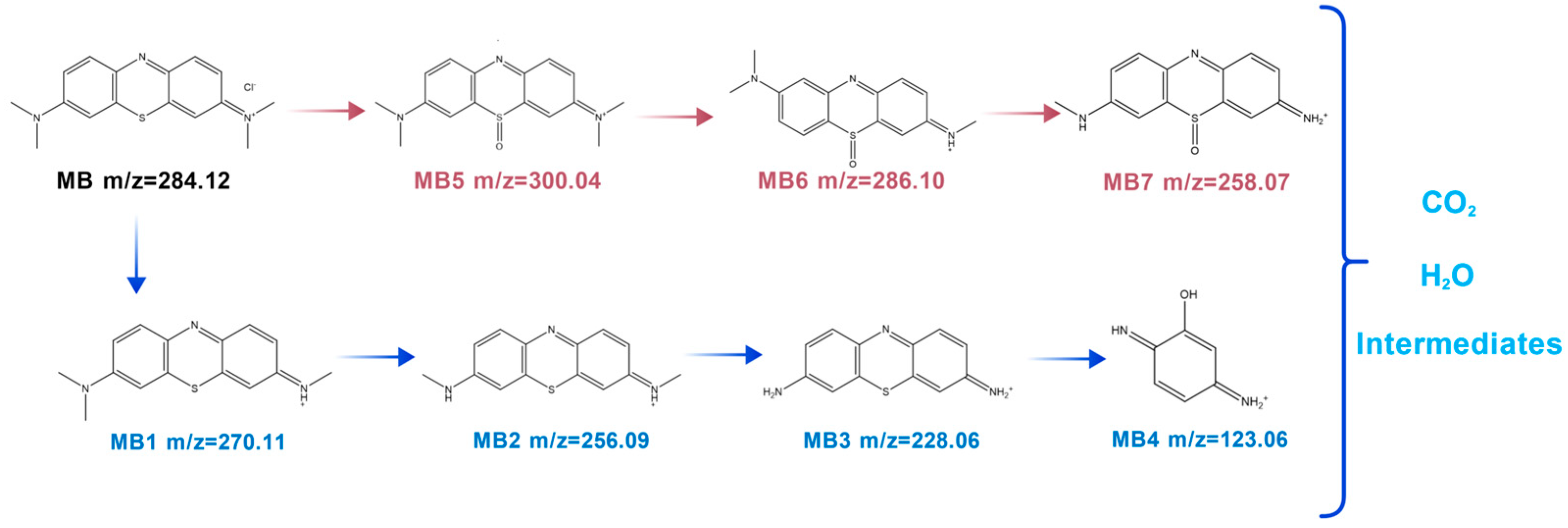 Molecules 31 00823 g012 Molecules 31 00823 g012
