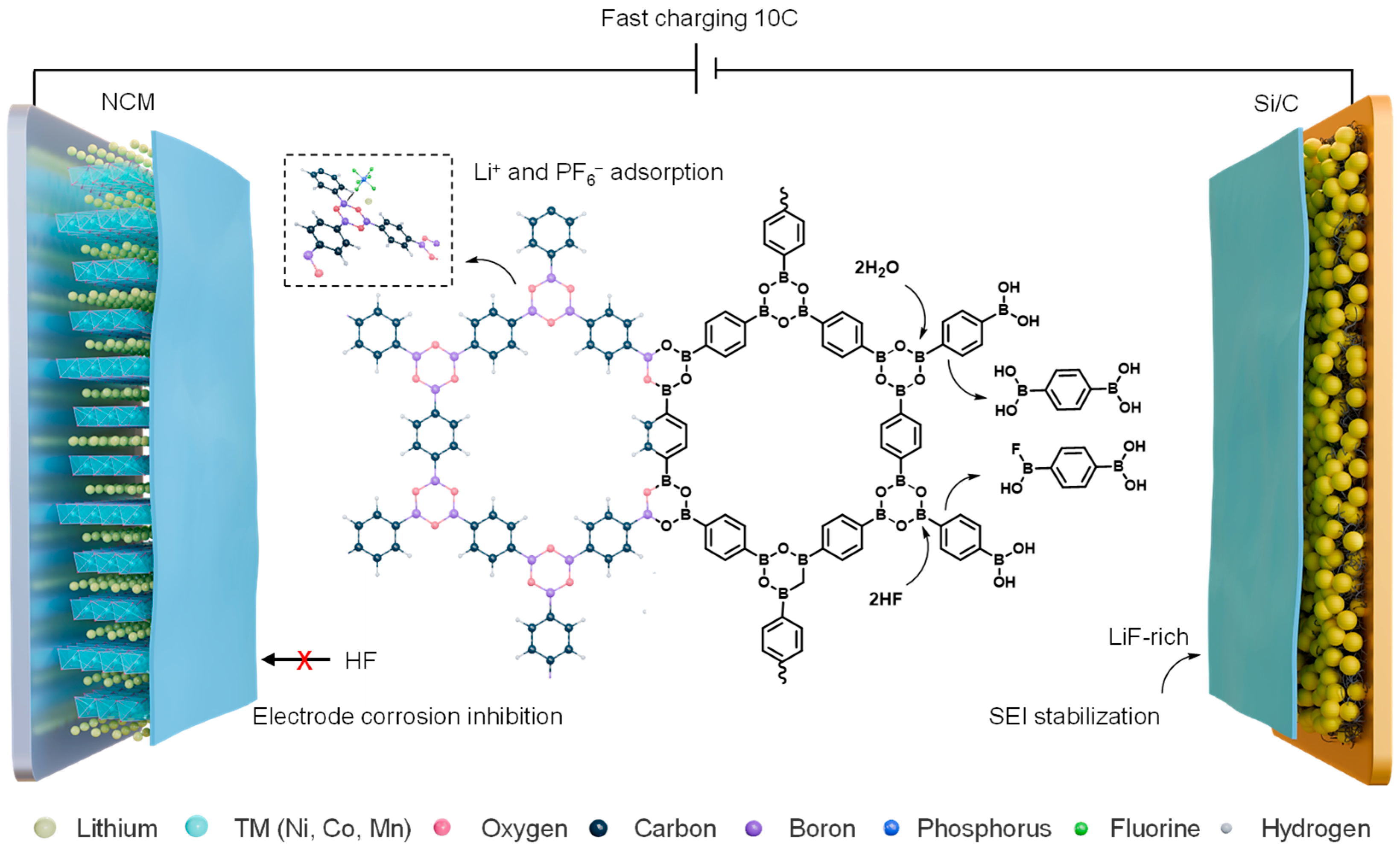 Molecules 31 00863 g001