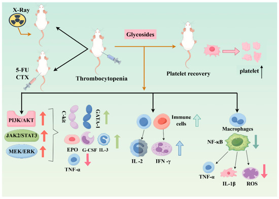 Glycoside Compounds from Blood-Nourishing Chinese Medicinal Herbs