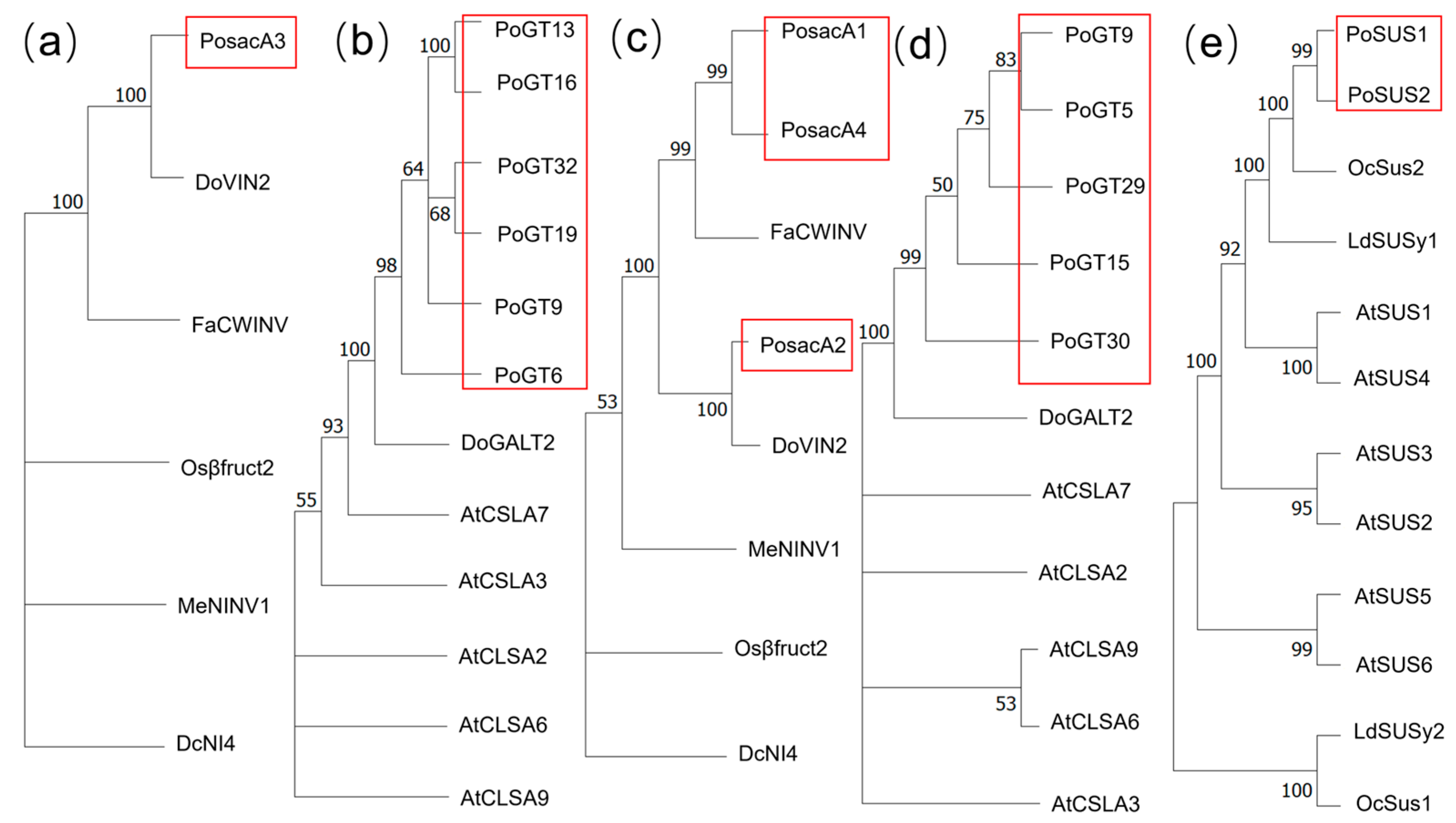 Molecules 31 00953 g007 Molecules 31 00953 g007
