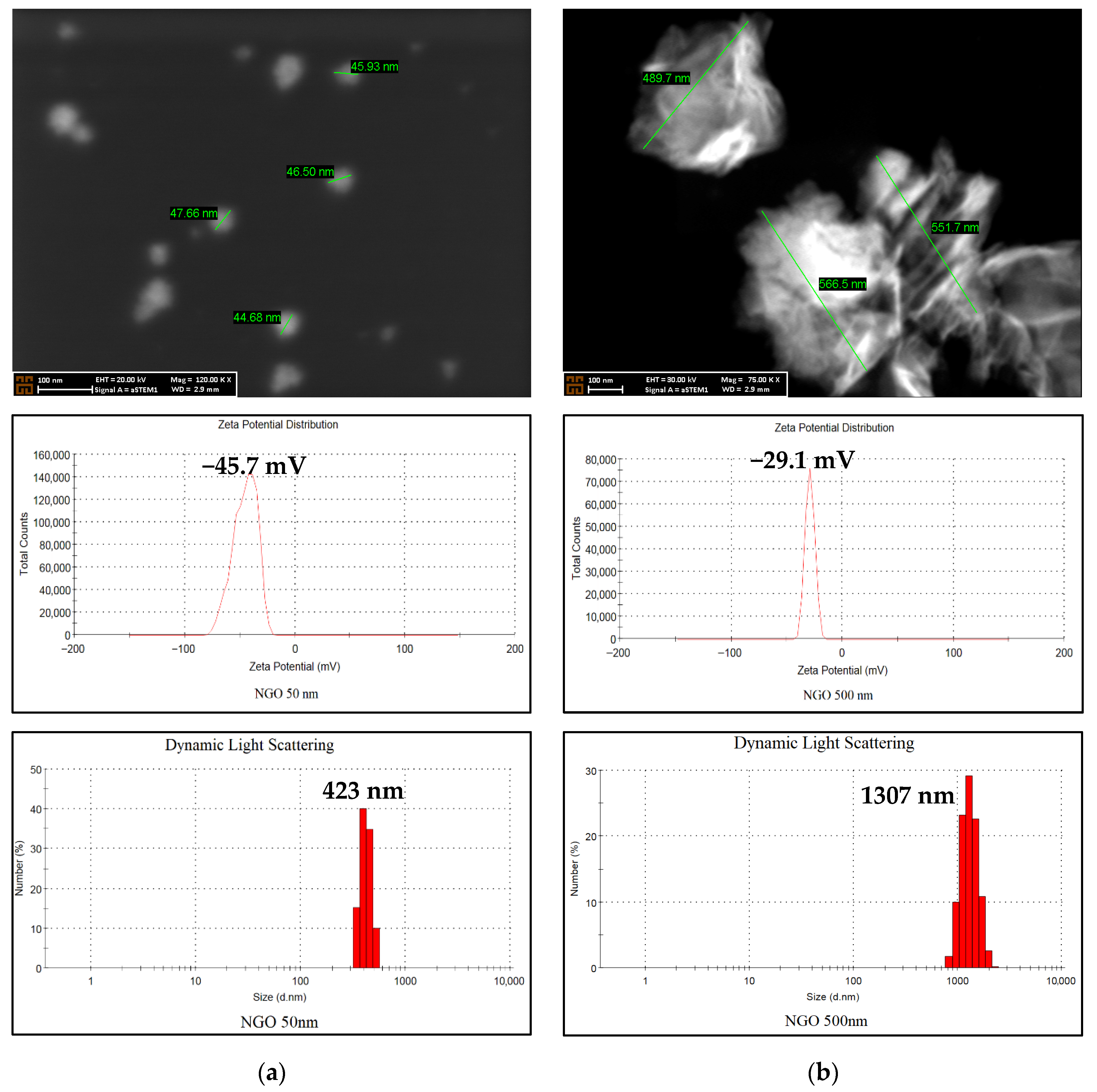 Molecules 31 00955 g002