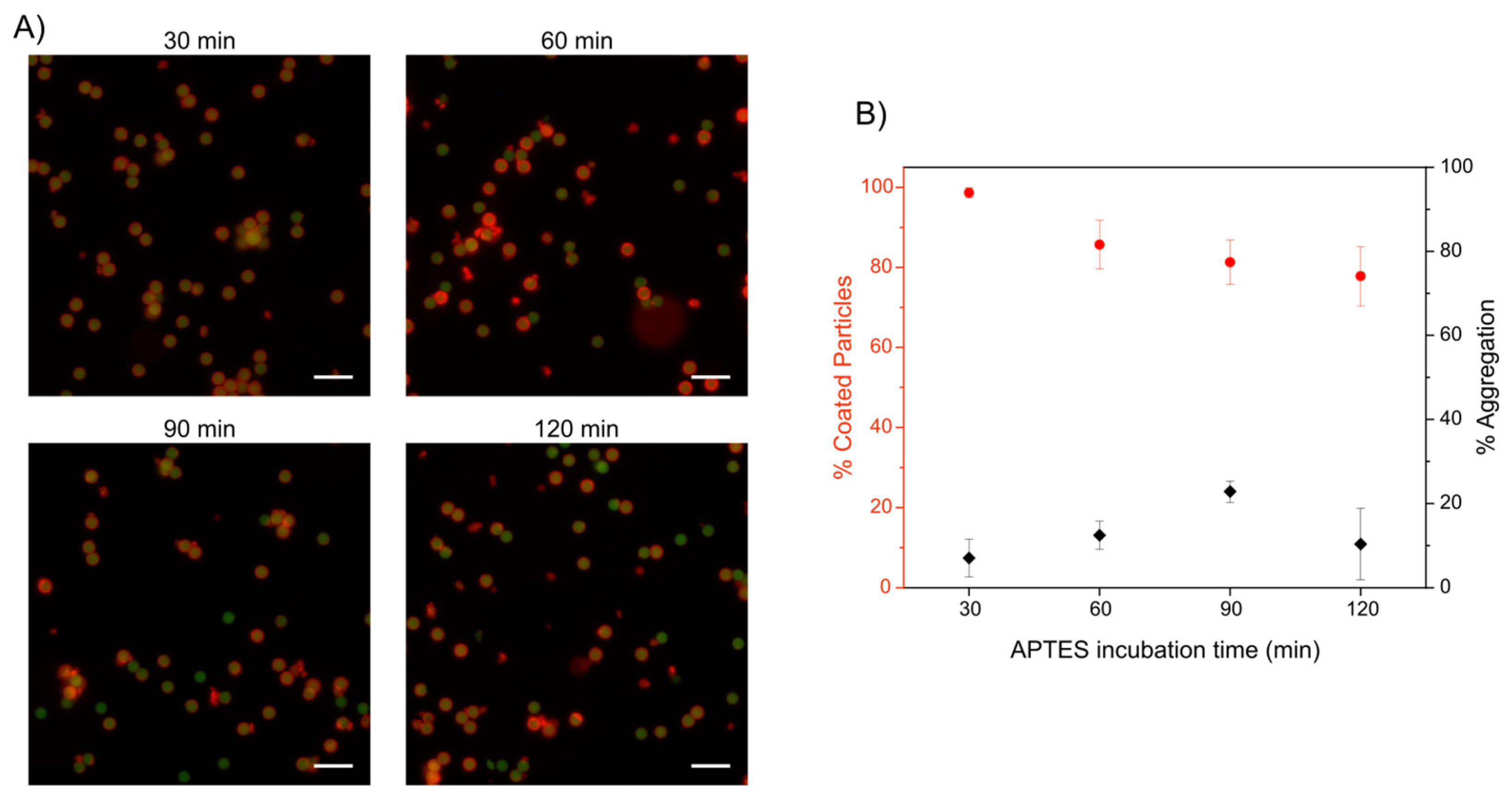 Molecules 31 00966 g003 Molecules 31 00966 g003