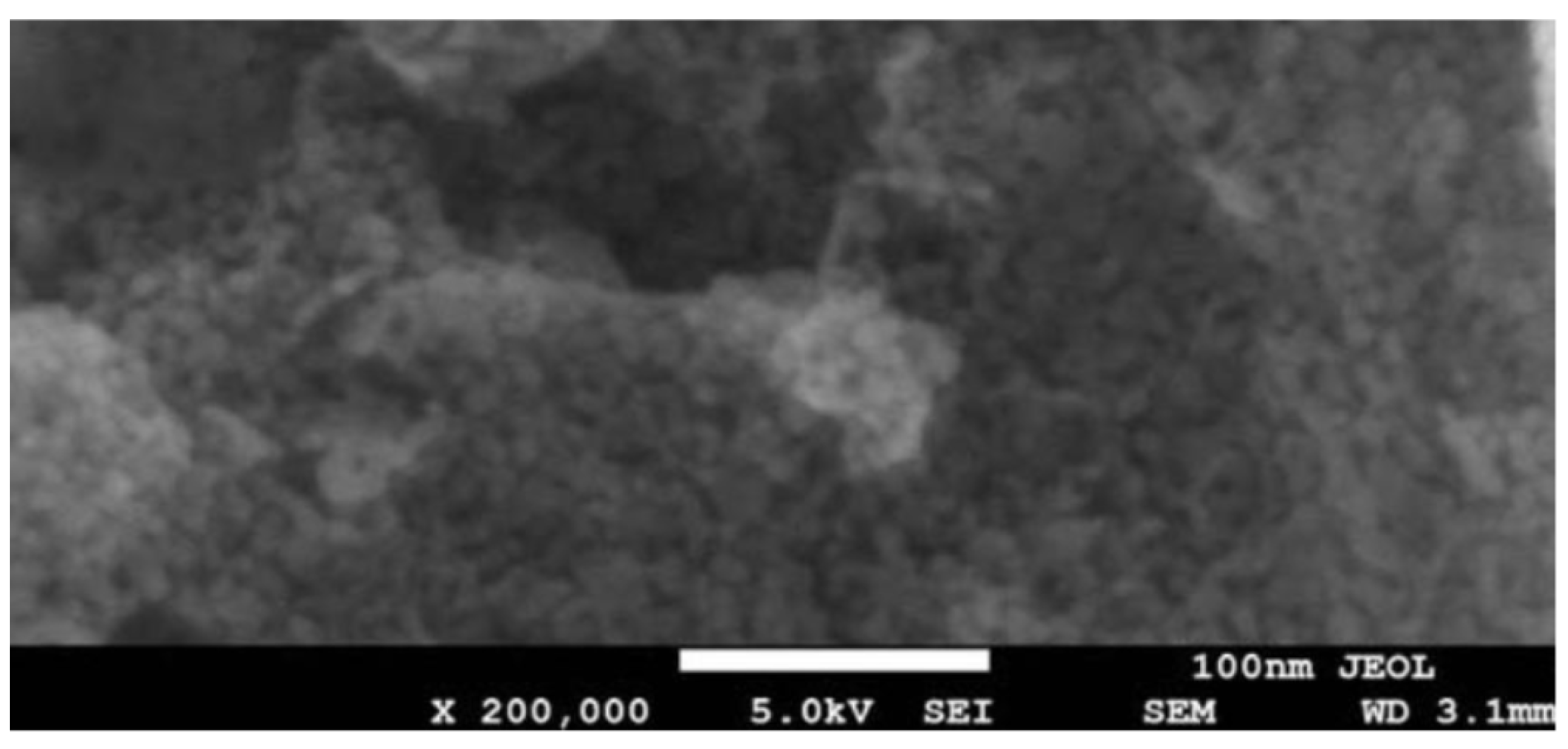 Molecules 31 00992 g013 Molecules 31 00992 g013