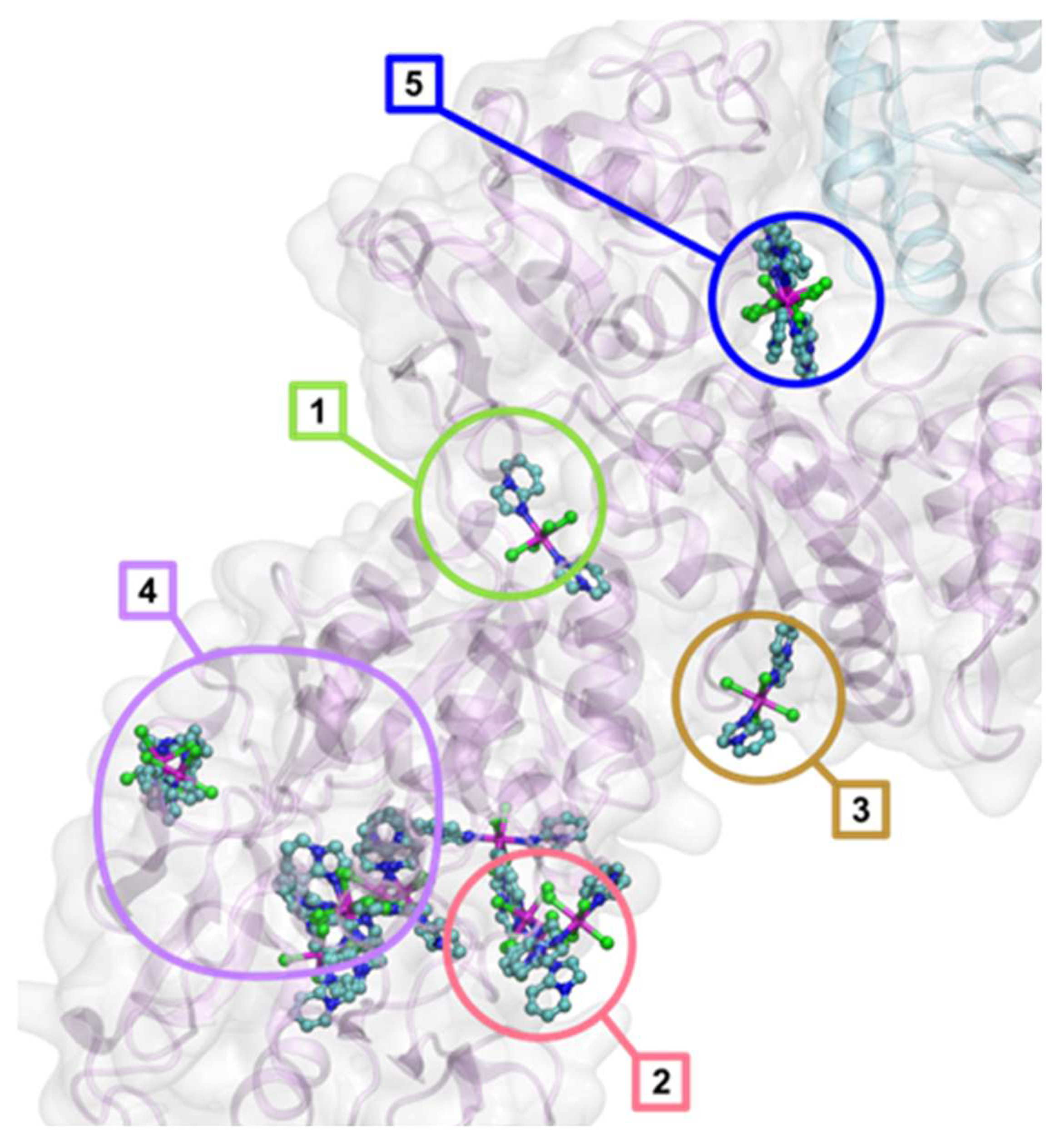 Molecules 31 01007 g010