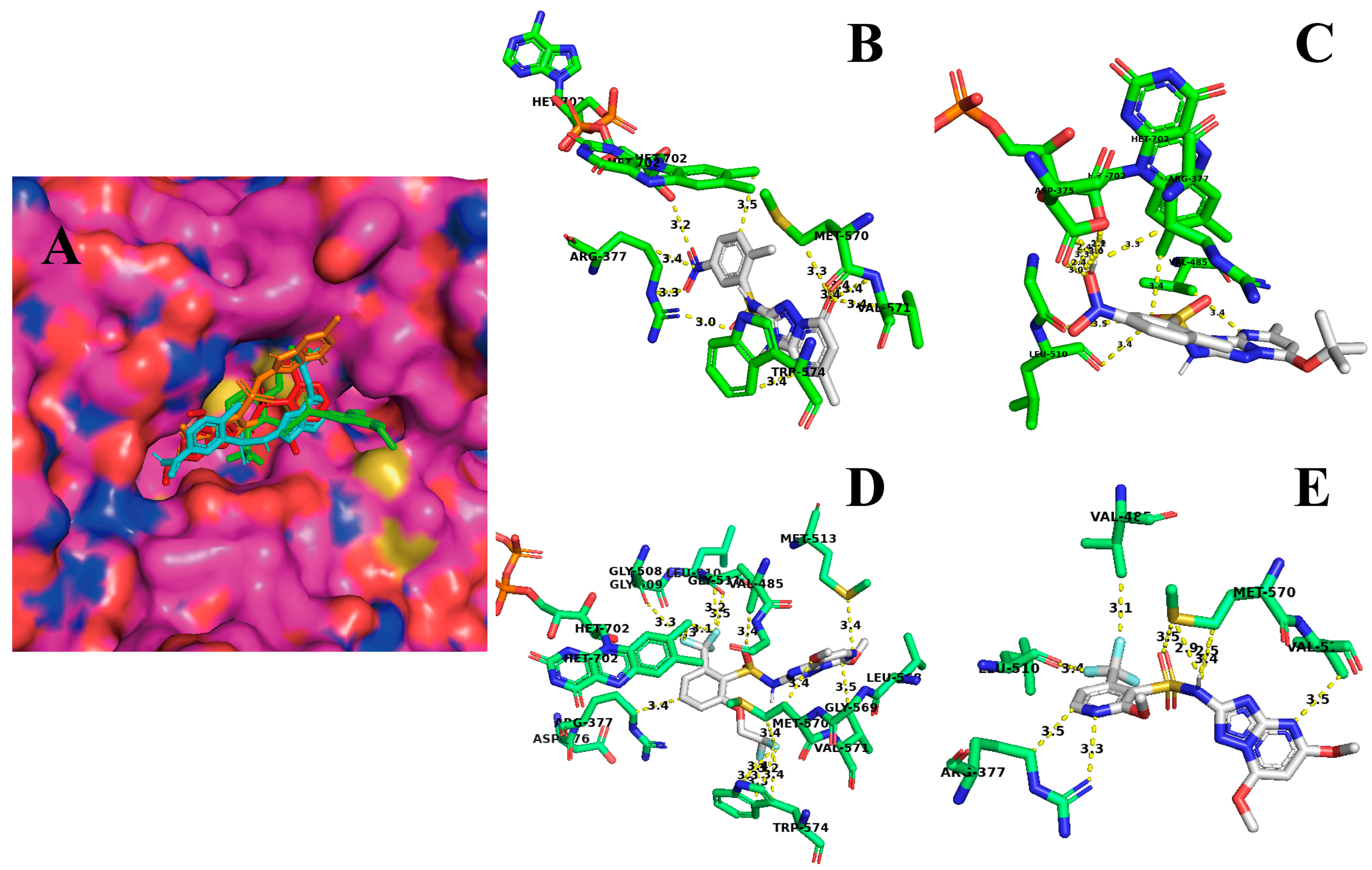 Molecules 31 01008 g007
