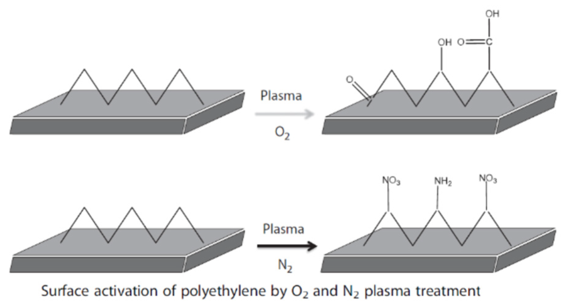 Molecules 31 01077 g020 Molecules 31 01077 g020