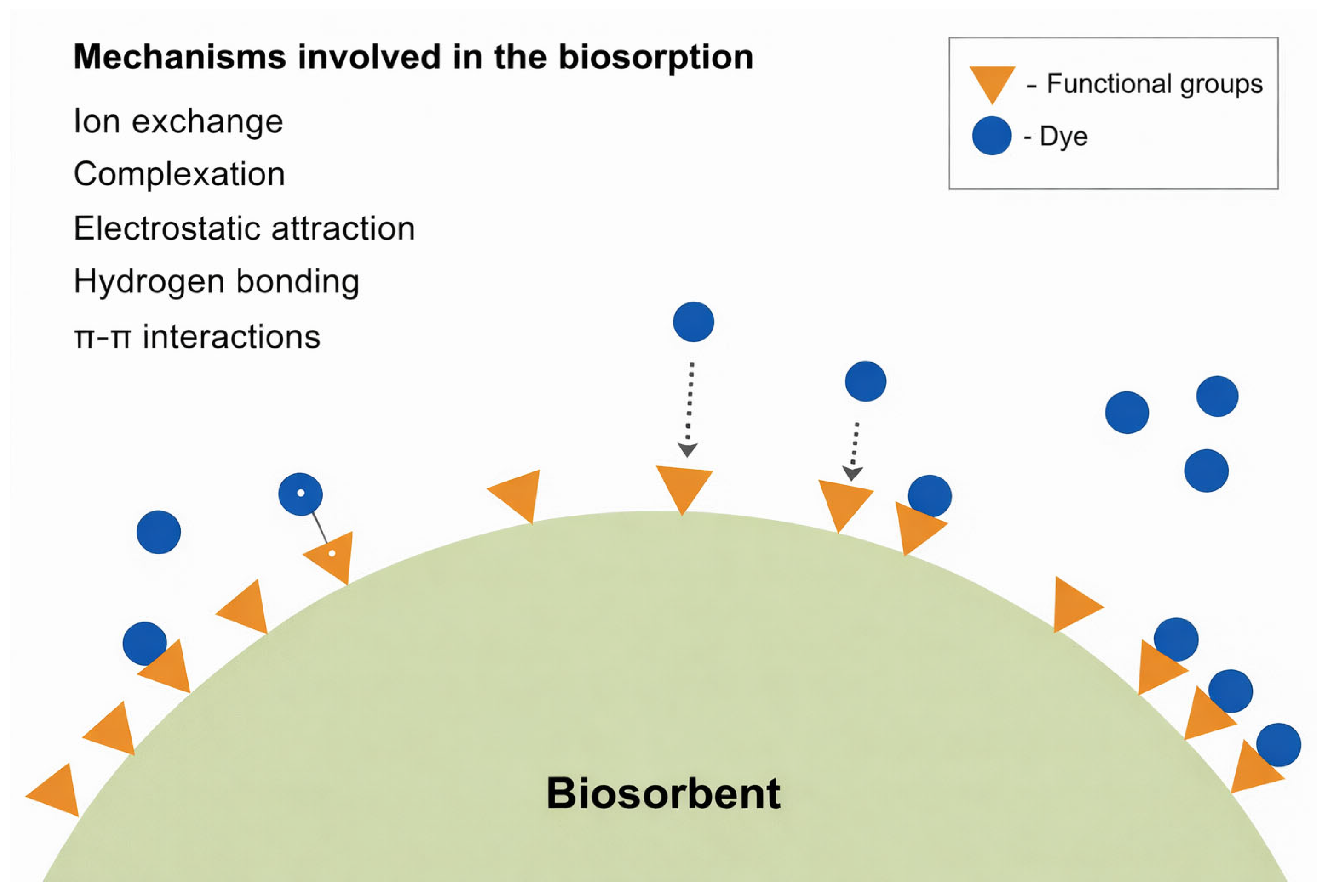 Molecules 31 01085 g005