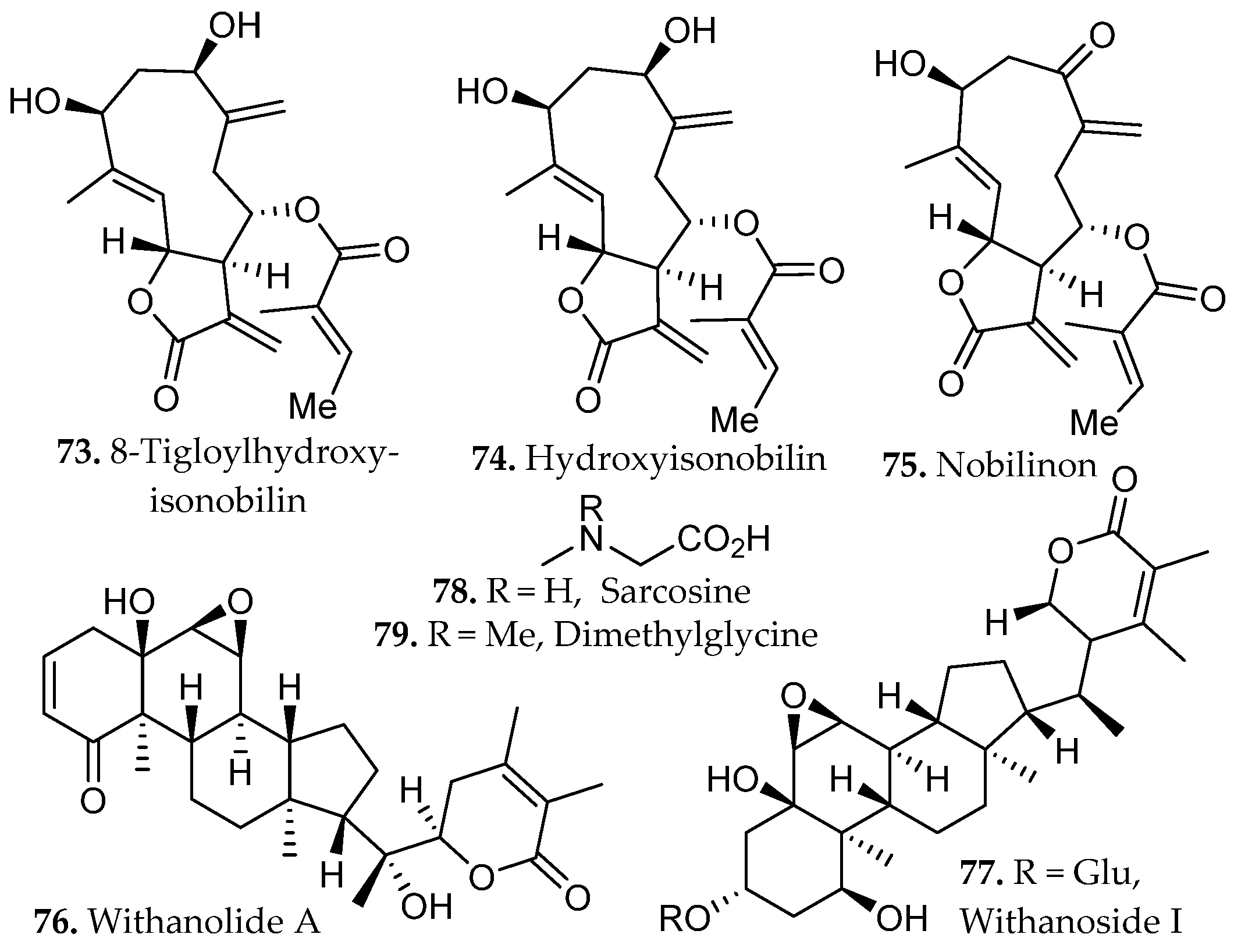 Molecules 31 01136 g006