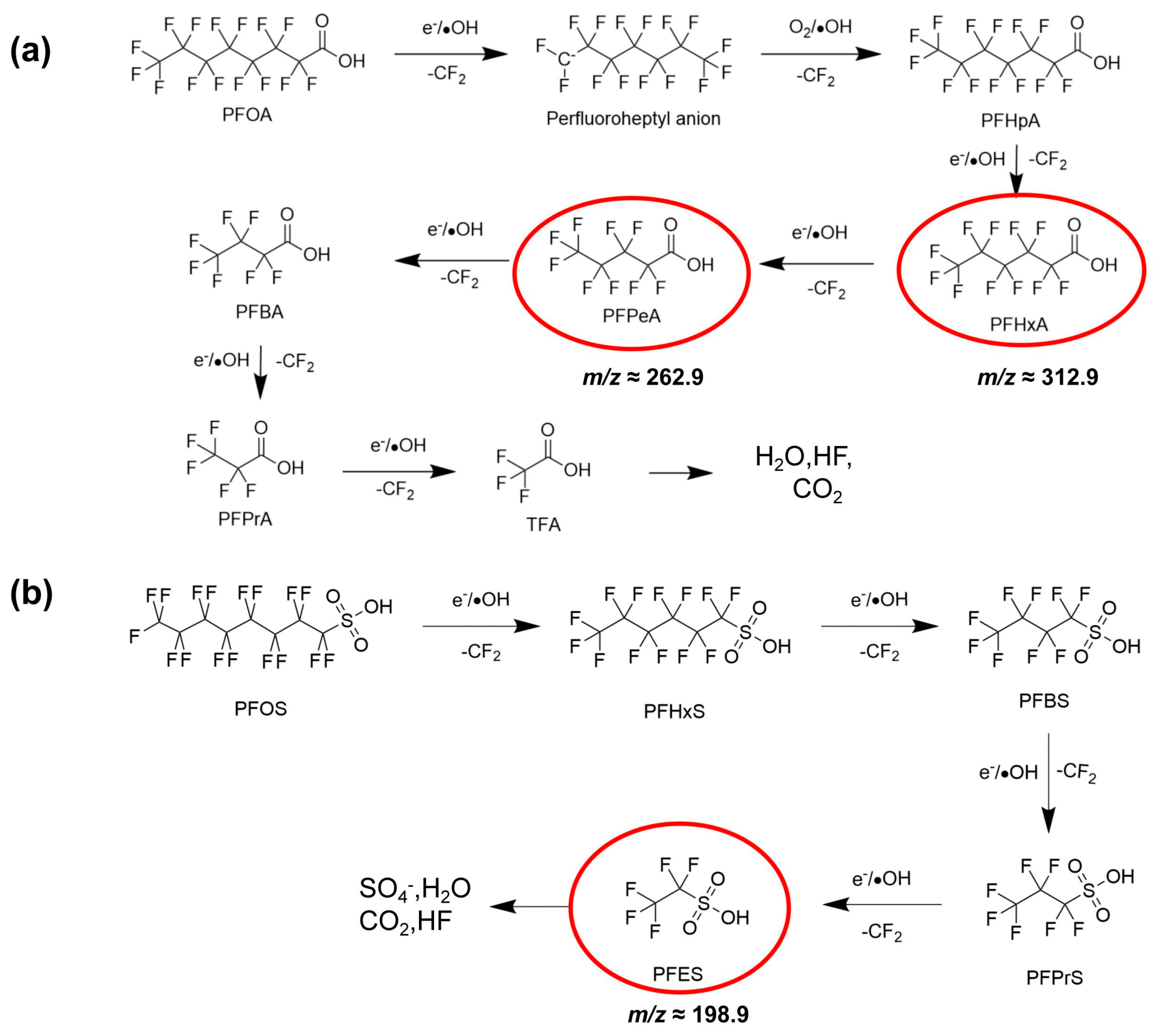 Molecules 31 01157 g007
