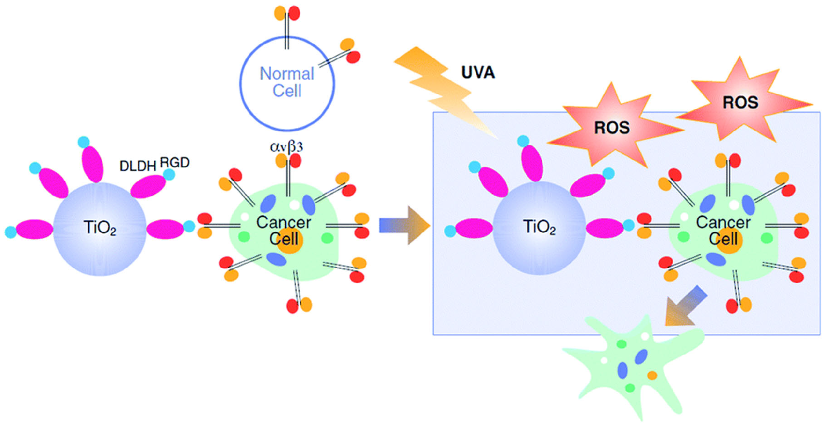 Molecules 31 01197 g003