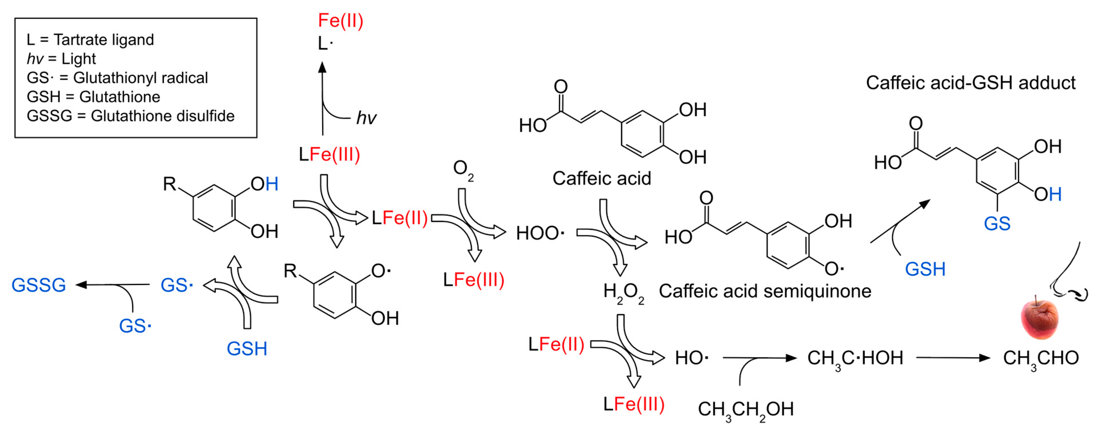 Molecules 31 01226 g002 Molecules 31 01226 g002