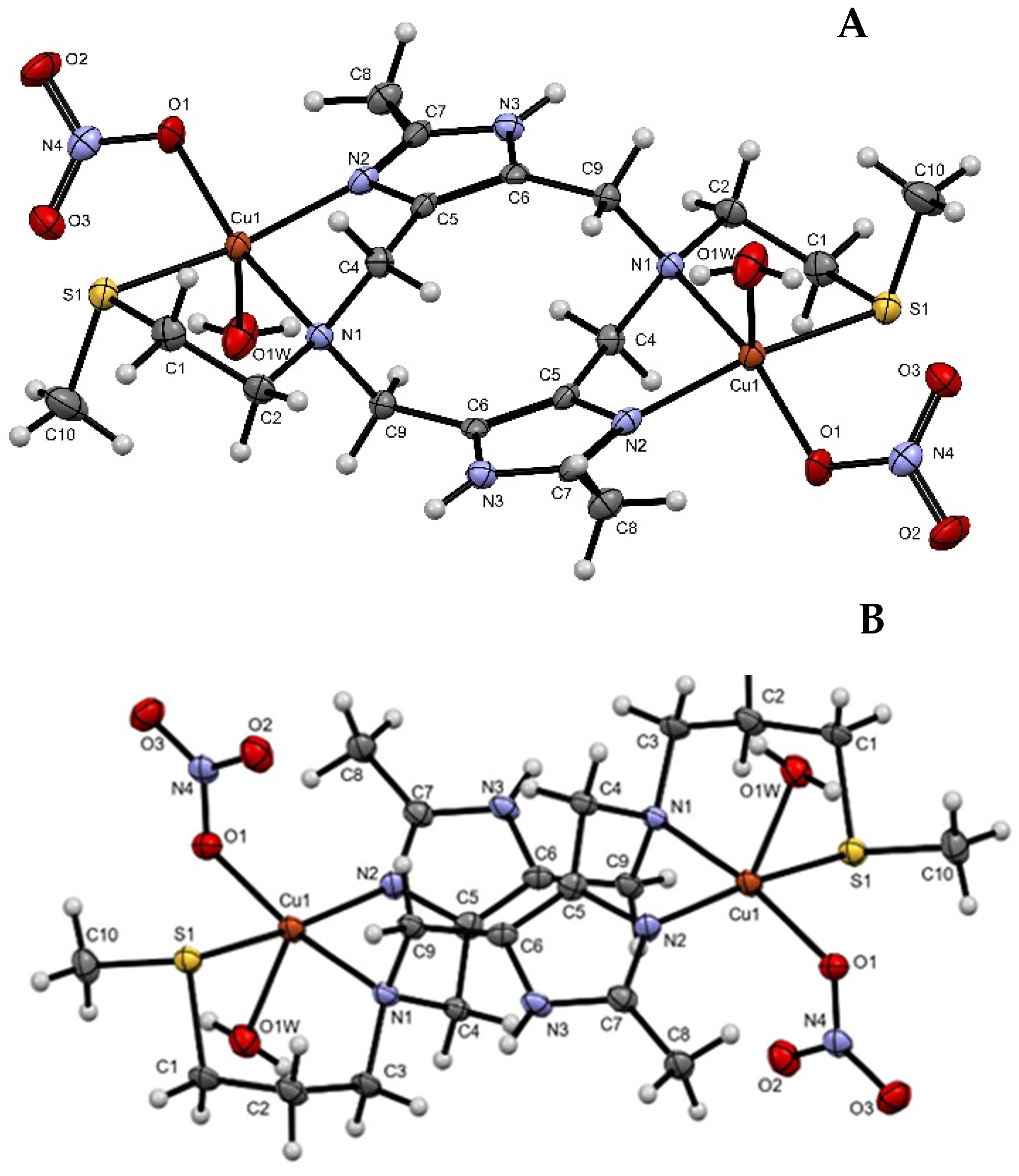 Molecules 31 01245 g001