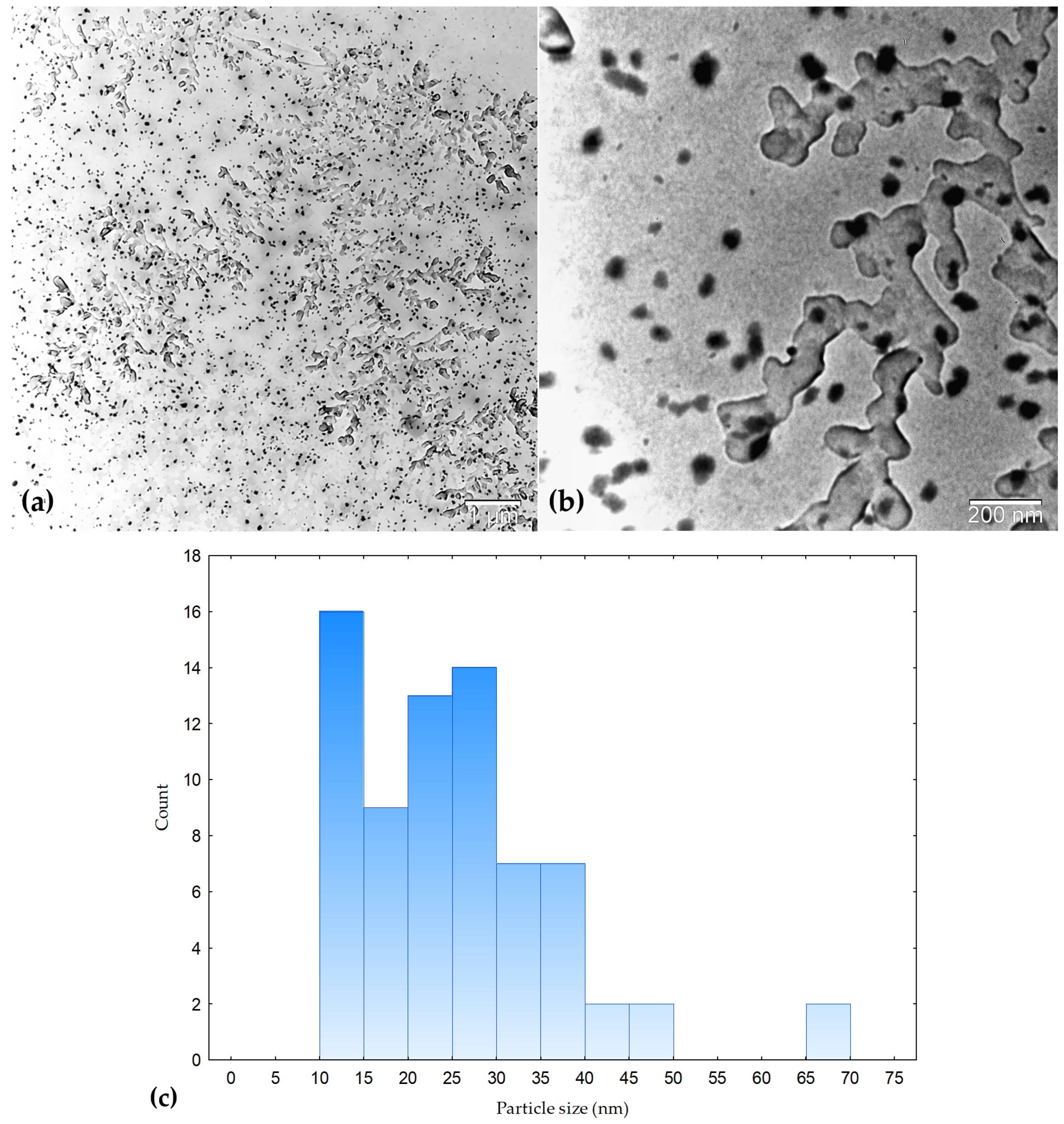 Molecules 31 01279 g008