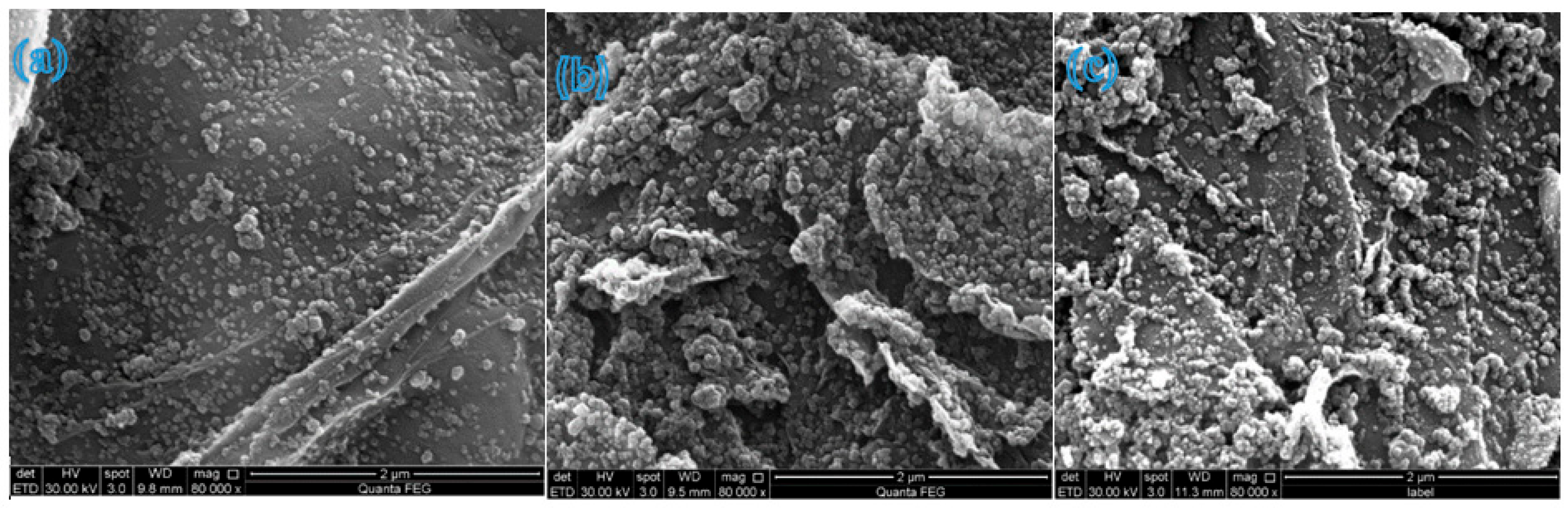 Molecules 31 01296 g009 Molecules 31 01296 g009