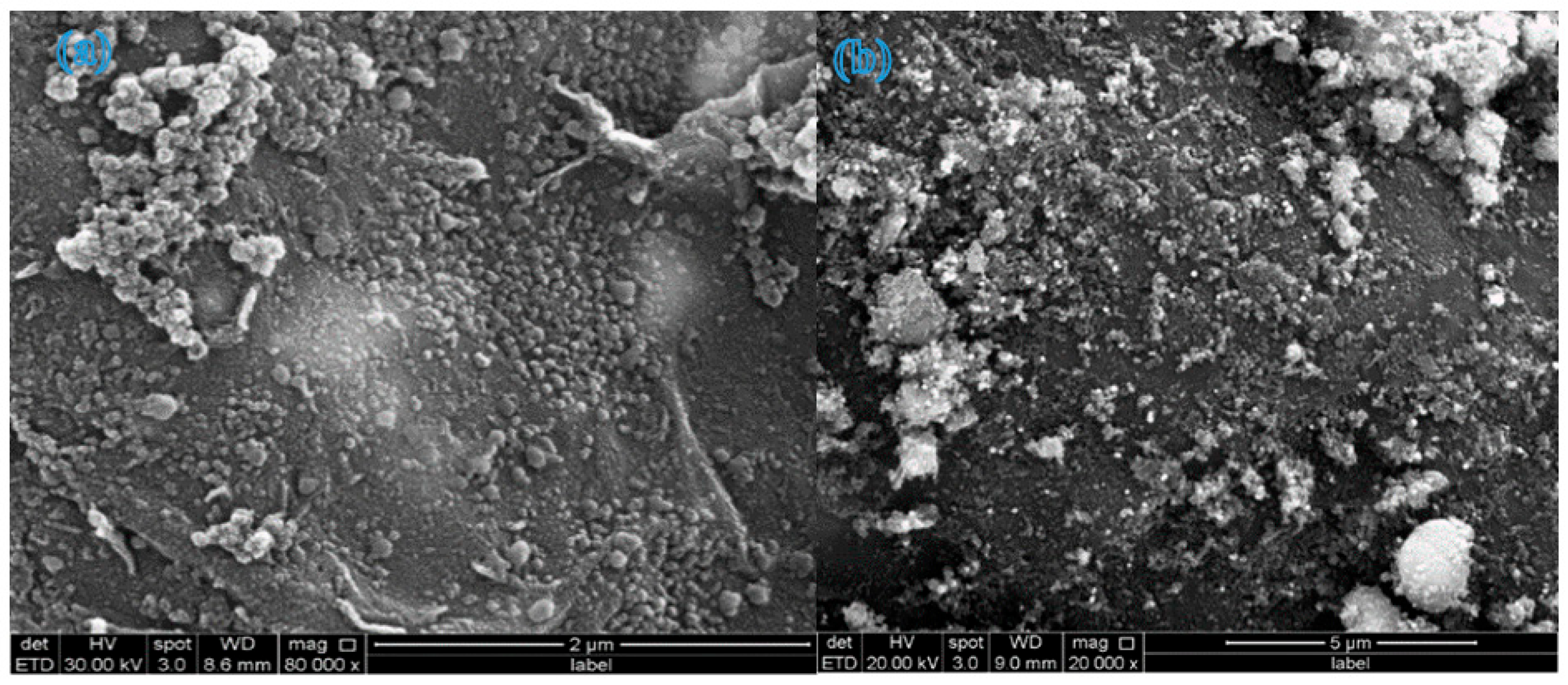 Molecules 31 01296 g010 Molecules 31 01296 g010