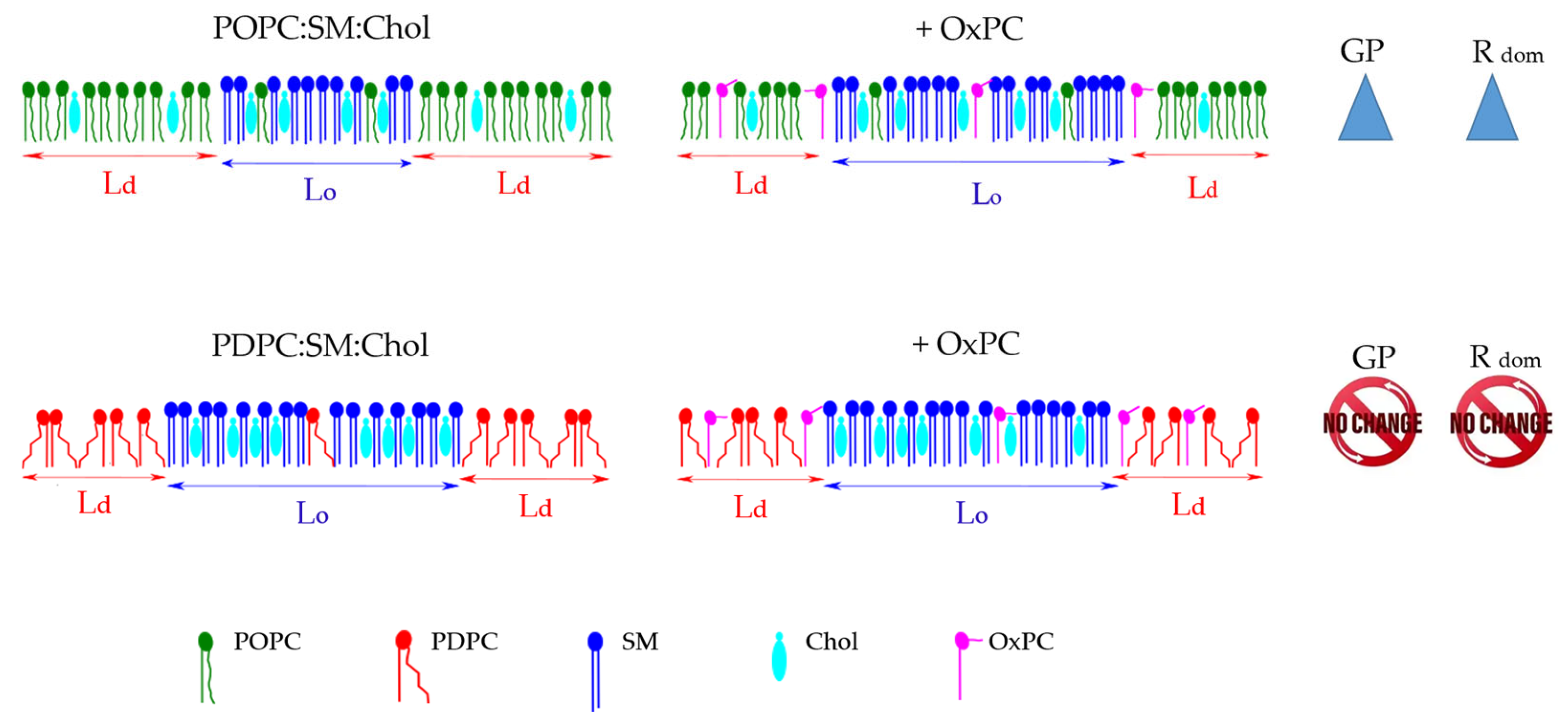 Molecules 31 01298 g010