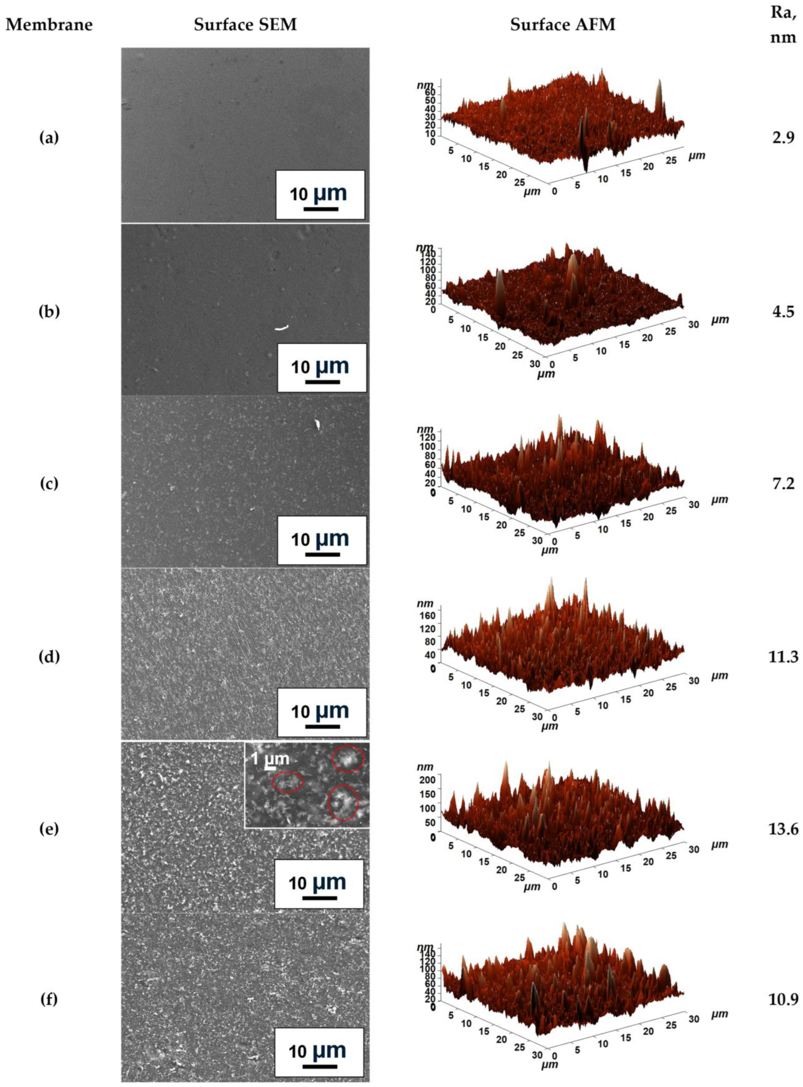 Molecules 31 01300 g005