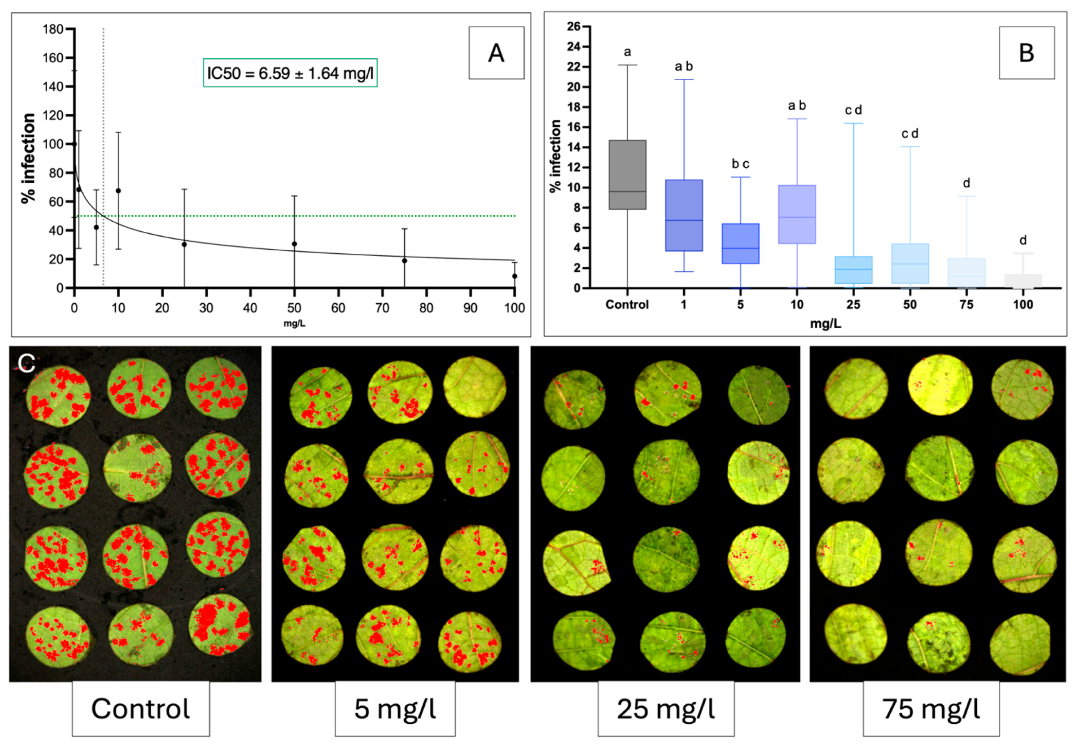 Molecules 31 01368 g002 Molecules 31 01368 g002