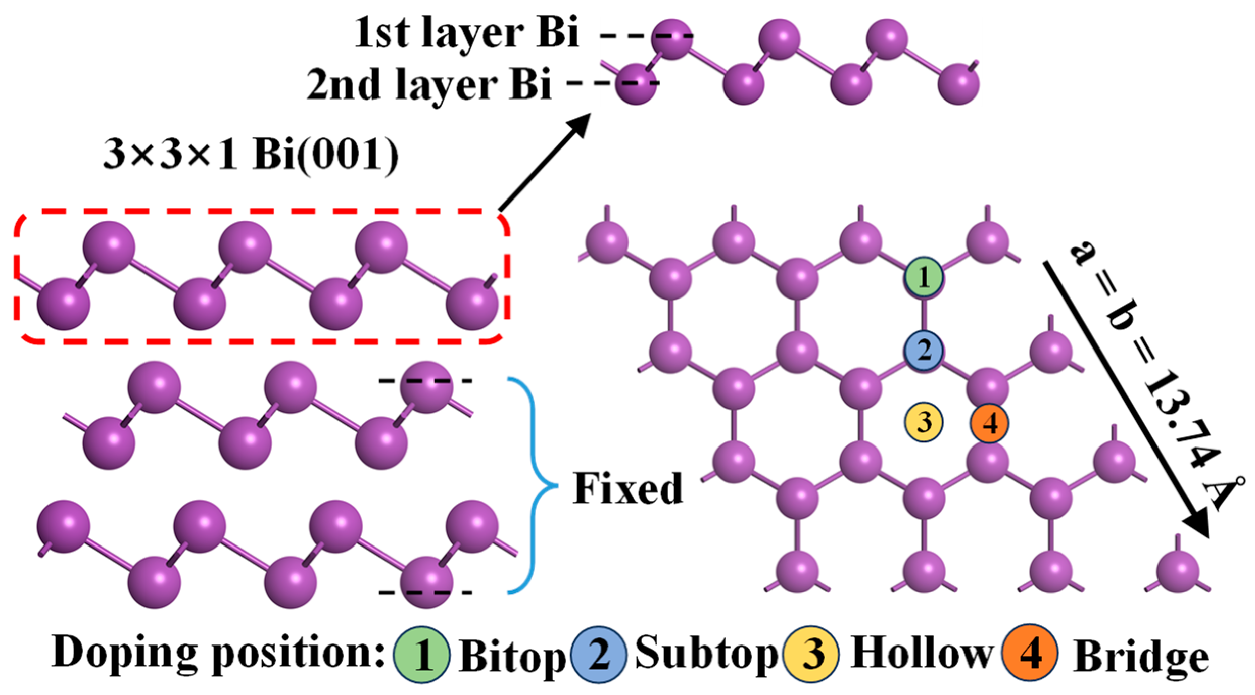 Molecules 31 01383 g001 Molecules 31 01383 g001