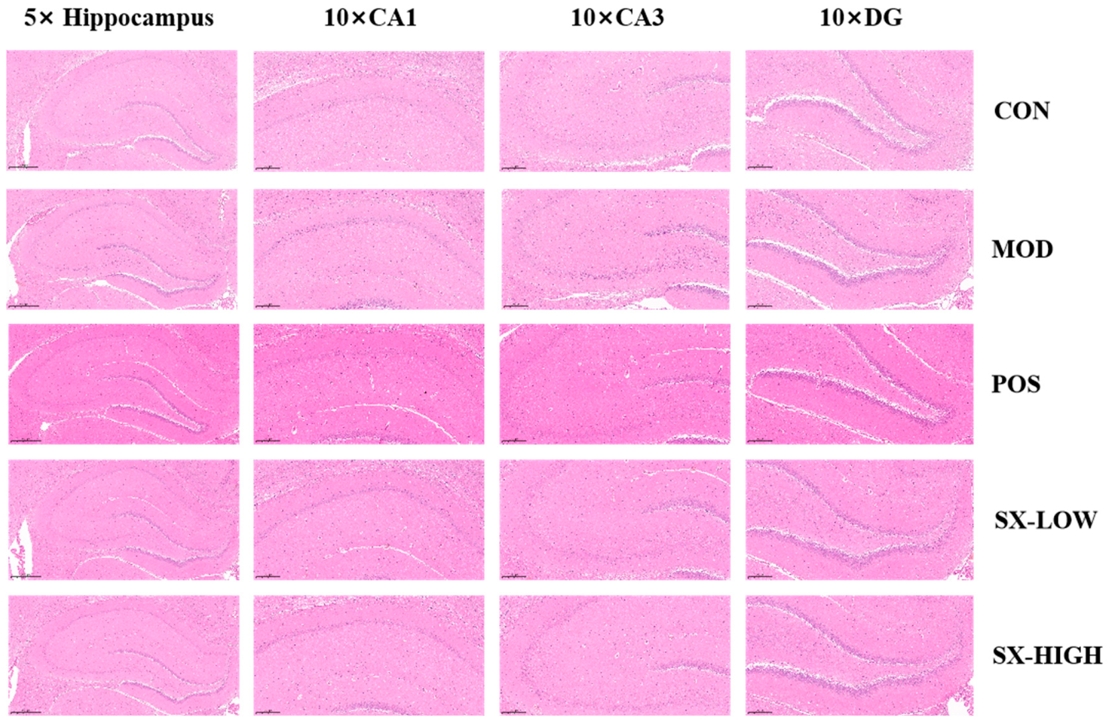 Molecules 31 01446 g007 Molecules 31 01446 g007