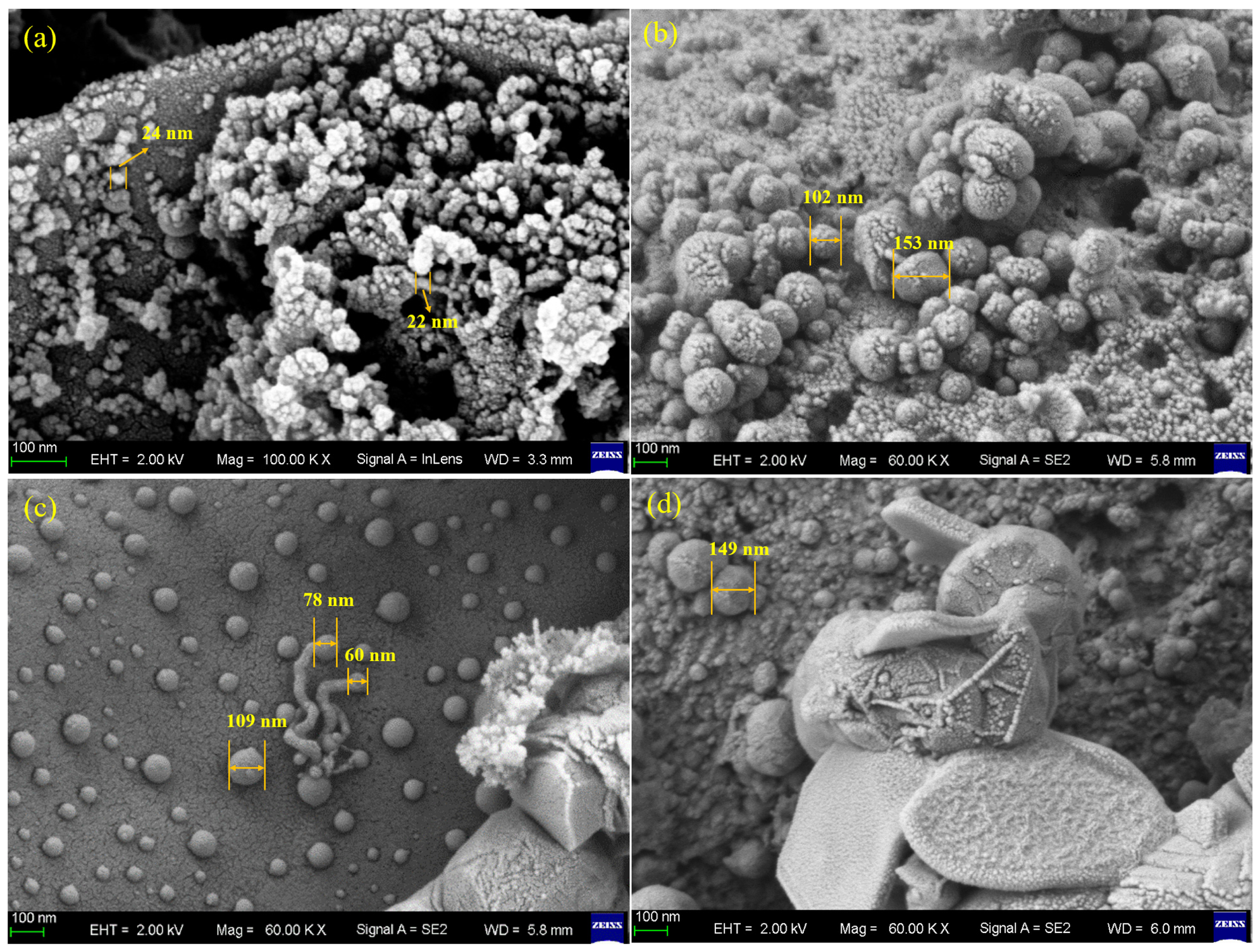 Molecules 31 01479 g009