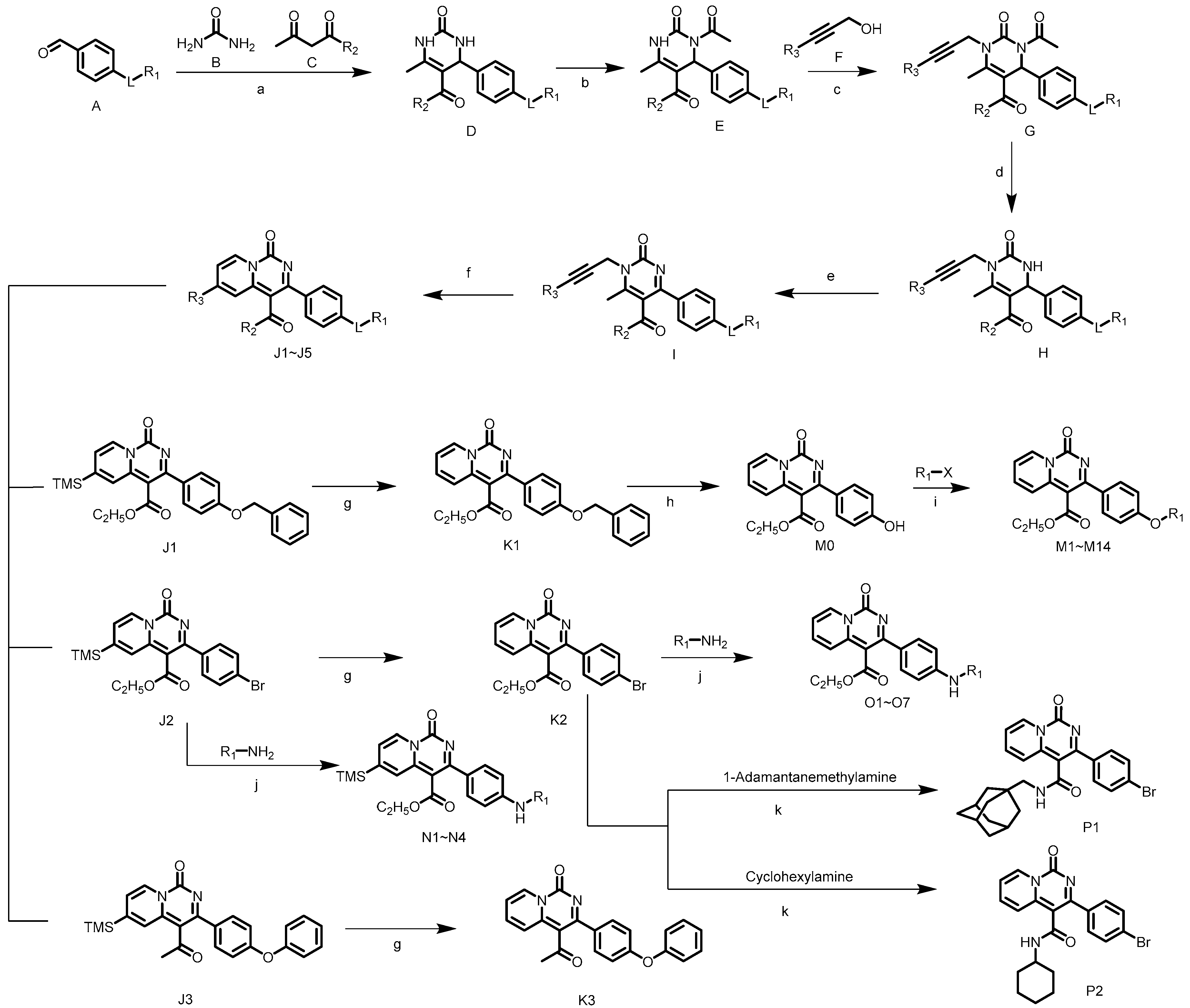 Molecules 31 01480 sch001 Molecules 31 01480 sch001