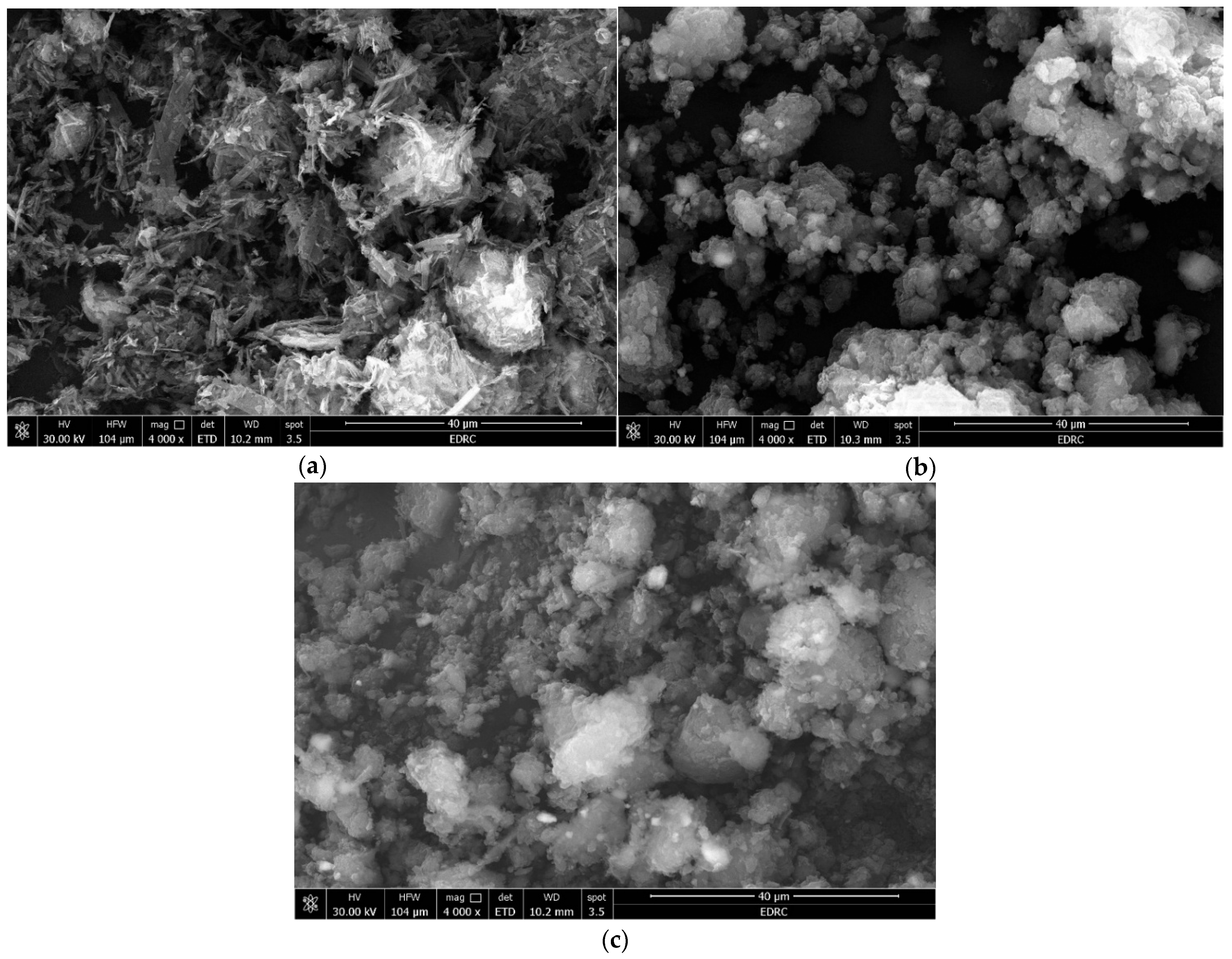 Molecules 31 01501 g004 Molecules 31 01501 g004