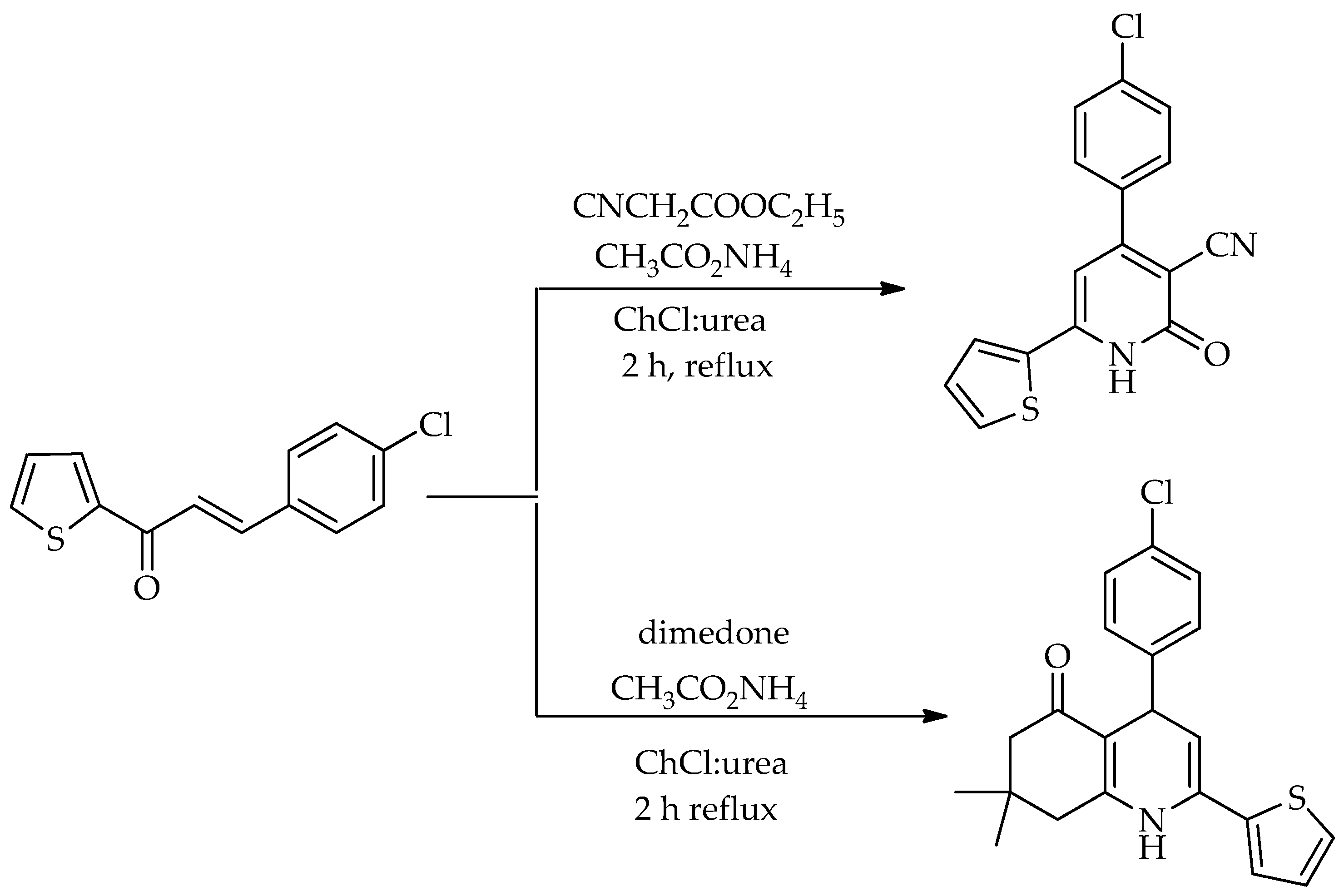 Molecules 31 01503 sch010