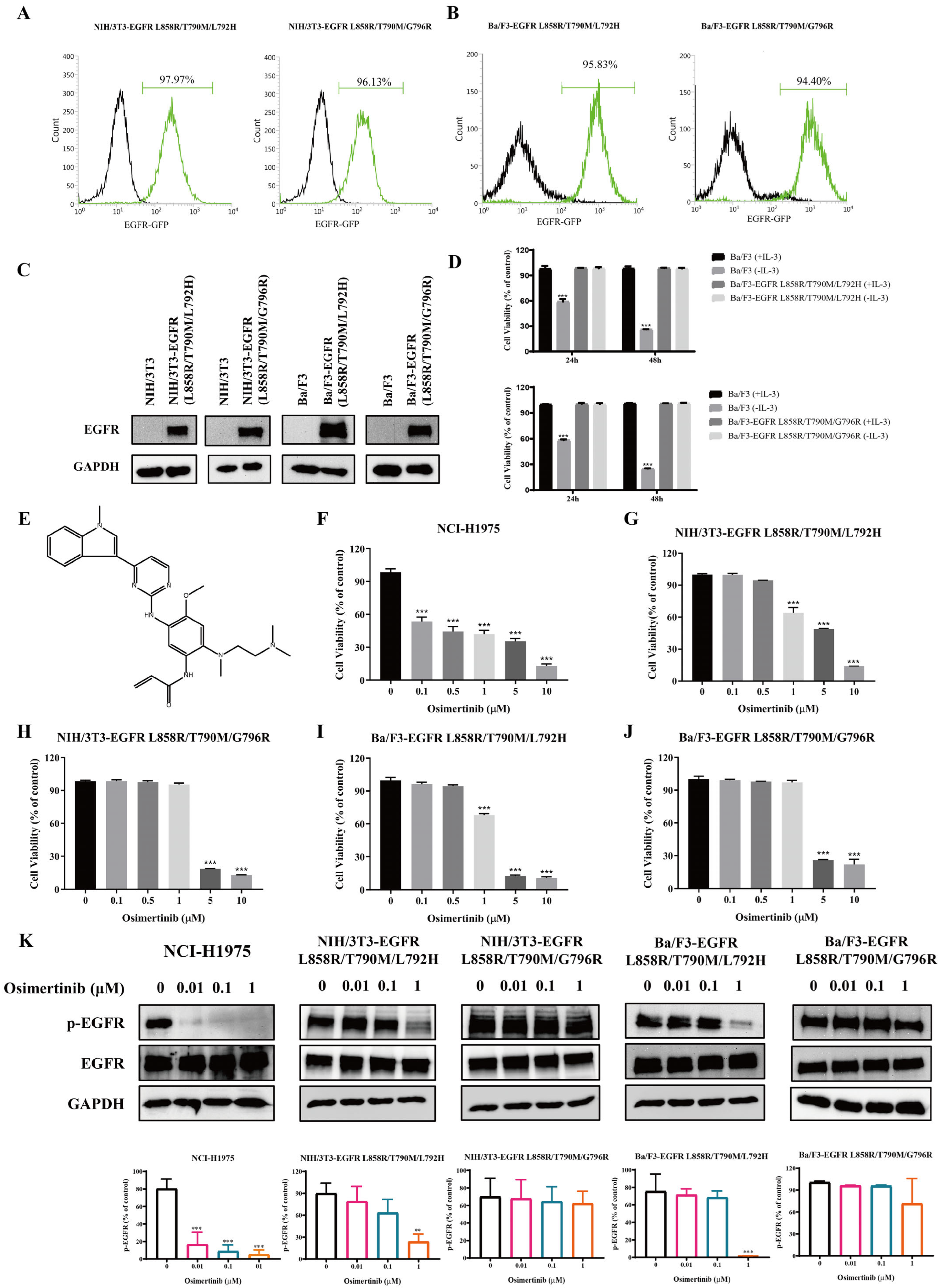 Molecules 31 01504 g001 Molecules 31 01504 g001