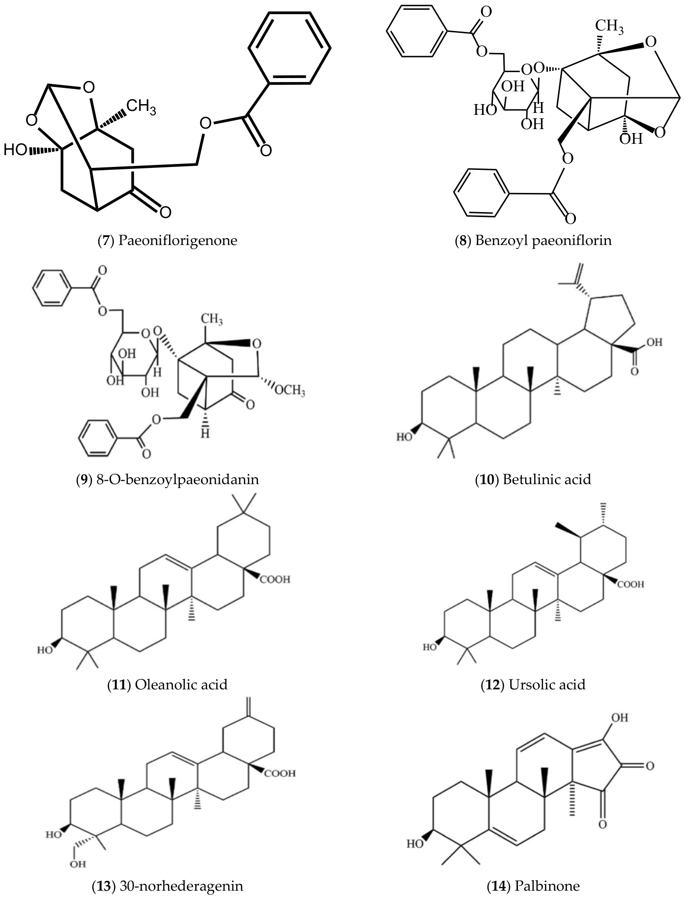 Molecules 31 01514 g006b Molecules 31 01514 g006b
