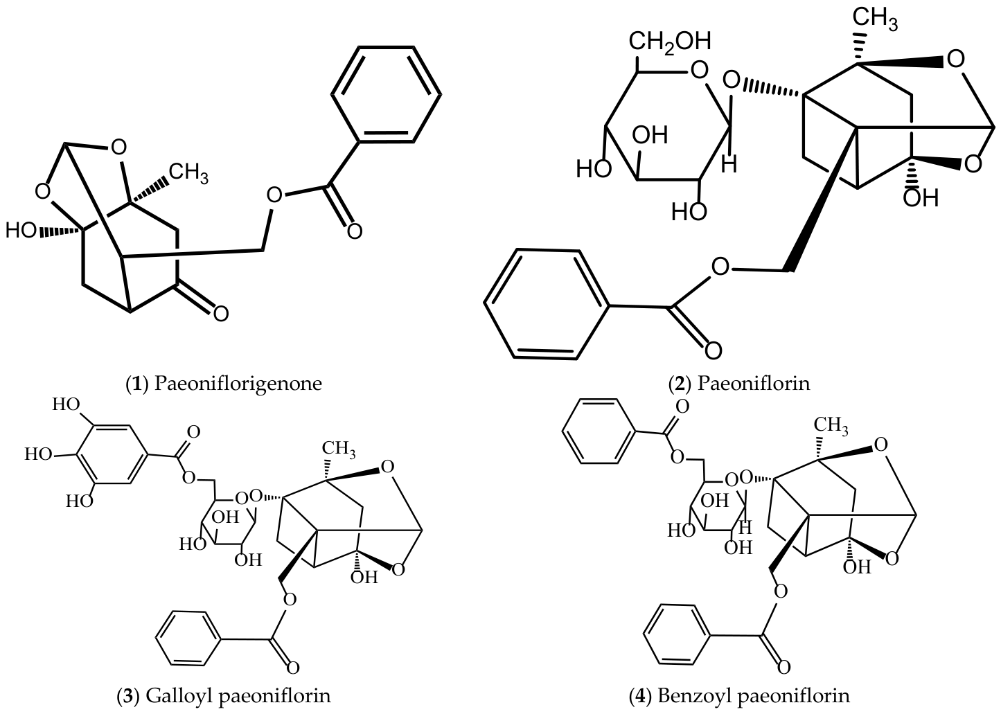 Molecules 31 01514 g007a Molecules 31 01514 g007a