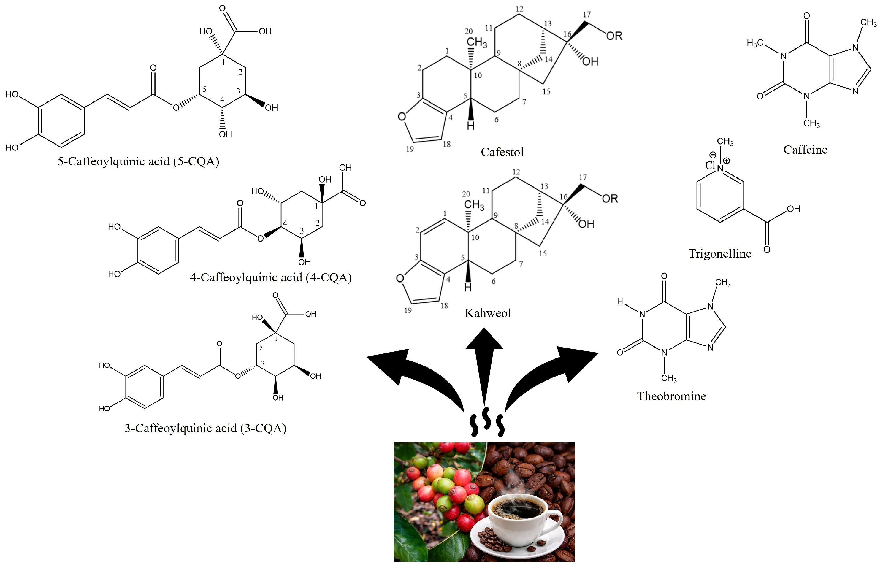 Molecules 31 01518 g005 Molecules 31 01518 g005