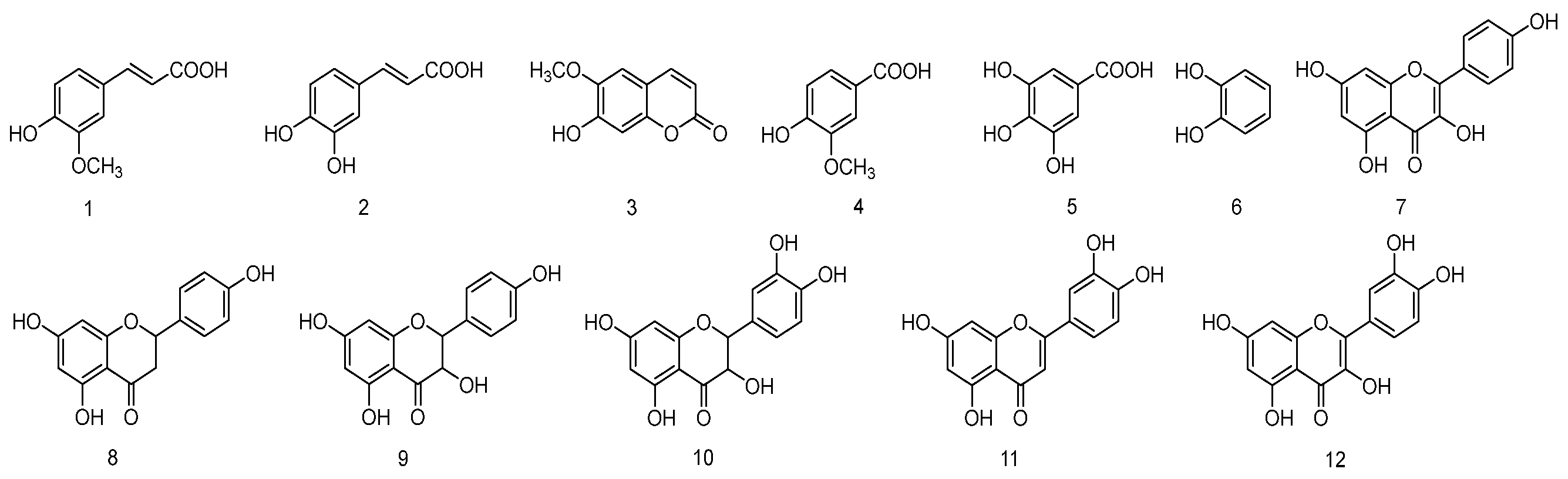 Molecules 31 01550 g005