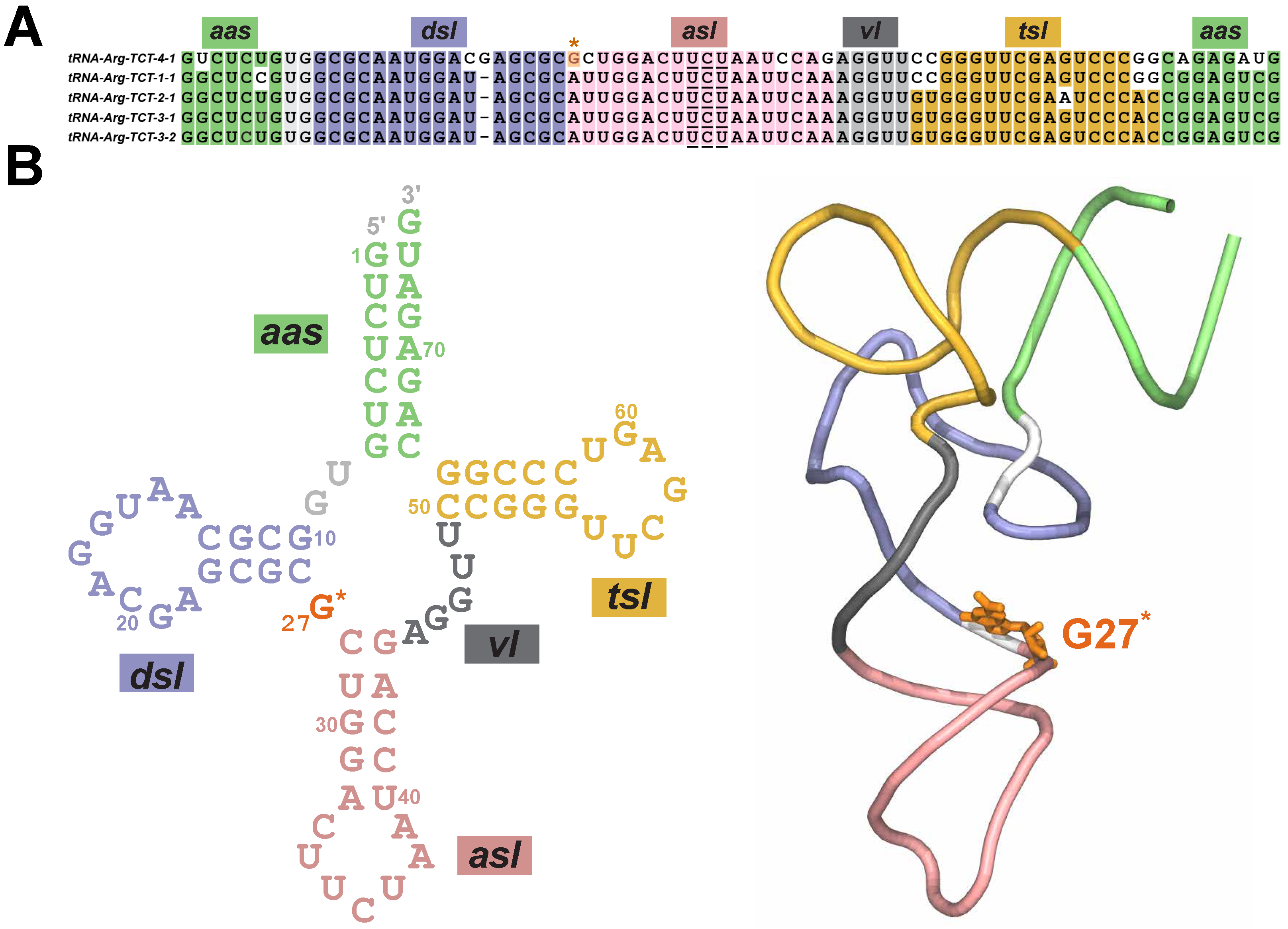 Molecules 31 01555 g001