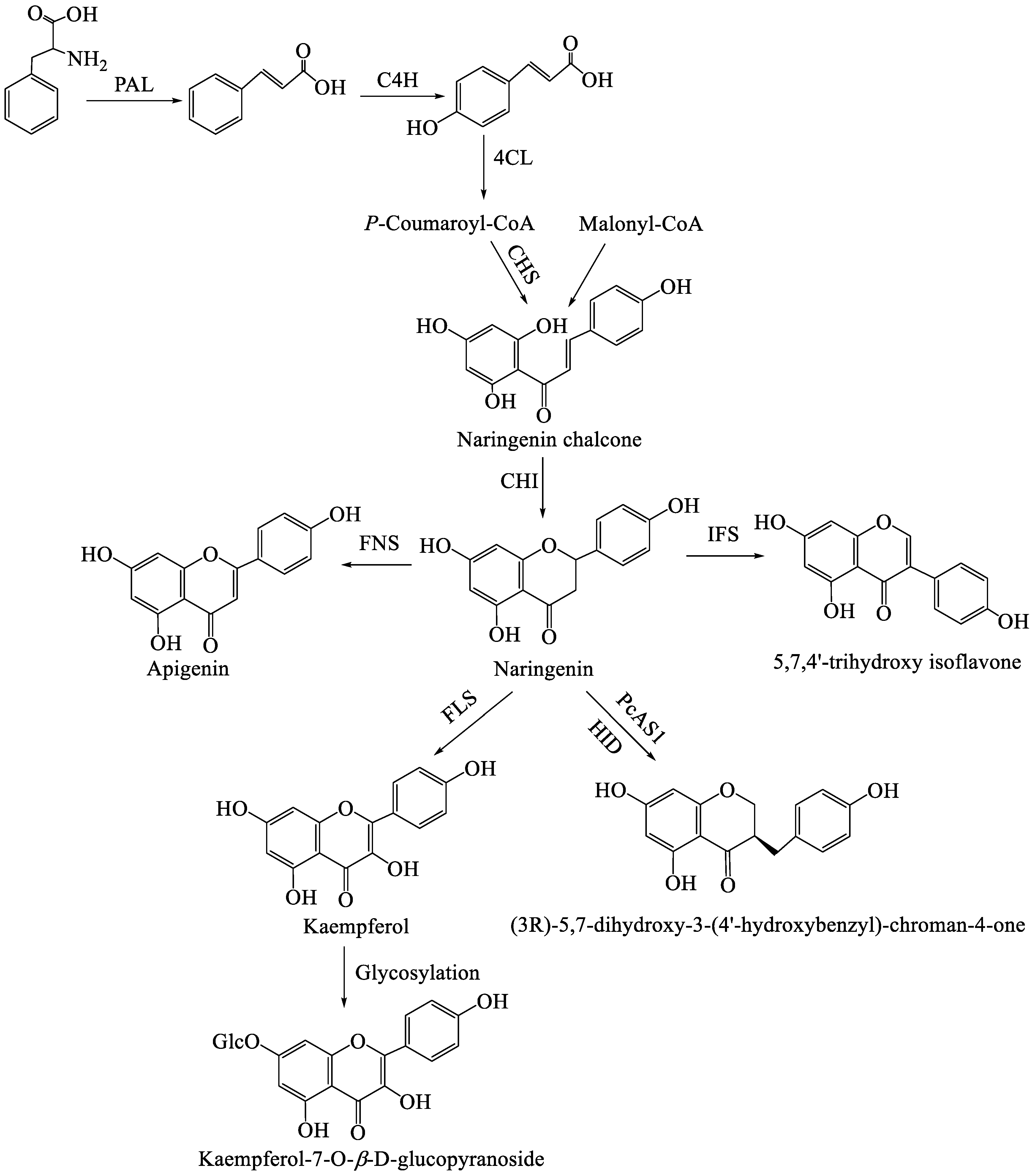 Molecules 31 01558 g001 Molecules 31 01558 g001