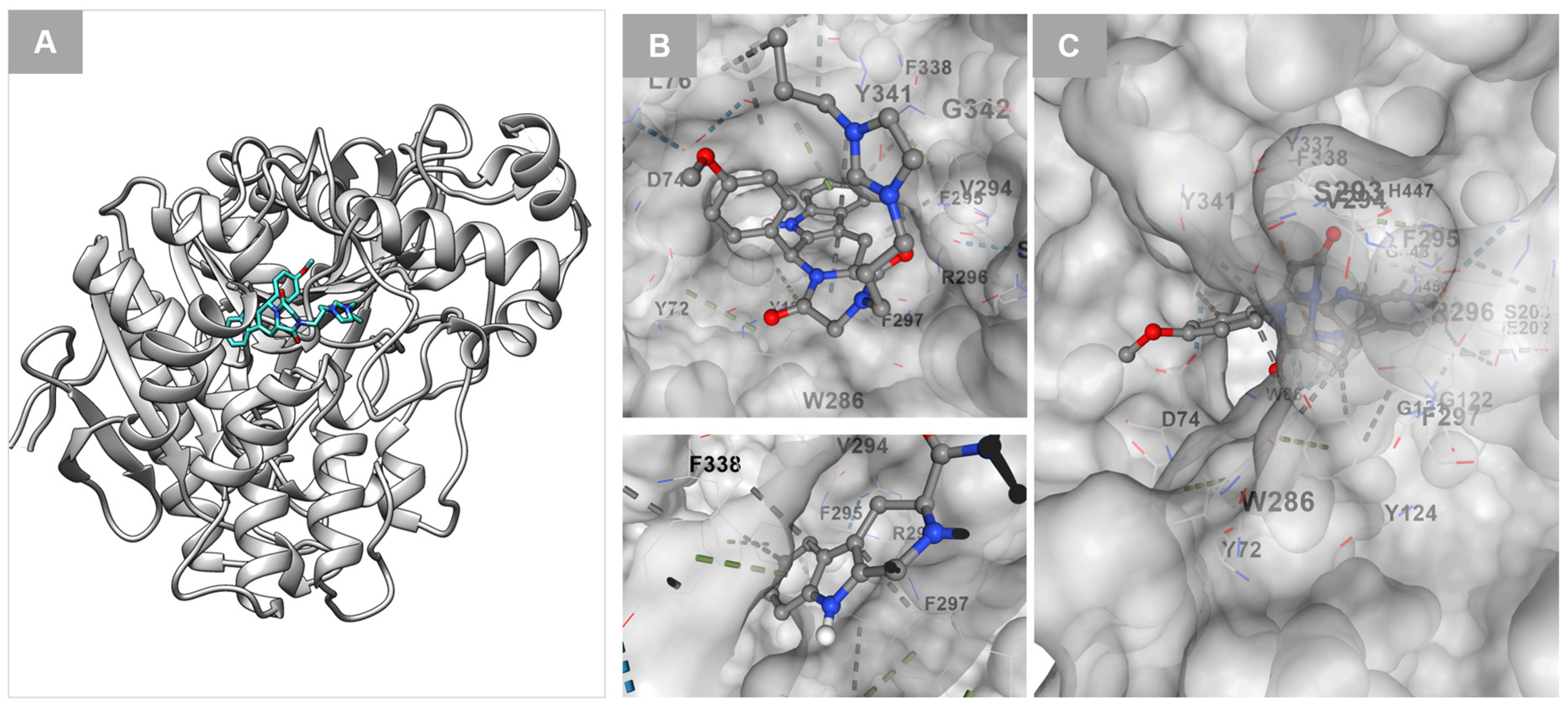 Molecules 31 01563 g007 Molecules 31 01563 g007