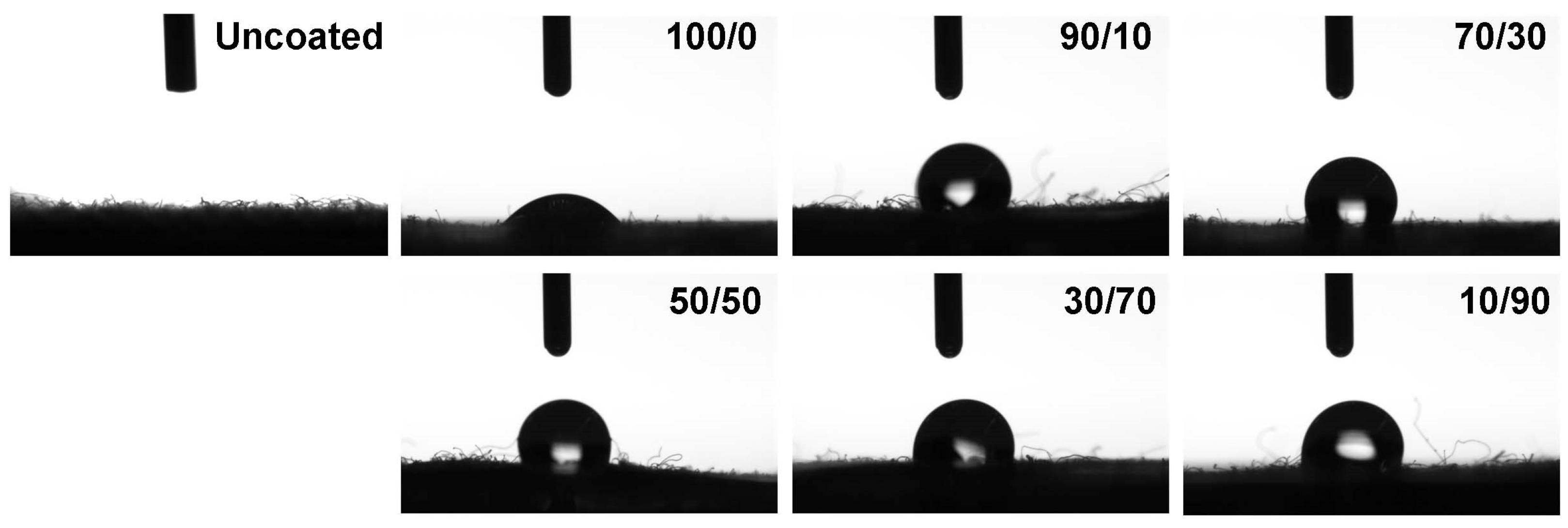 Molecules 31 01611 g006 Molecules 31 01611 g006
