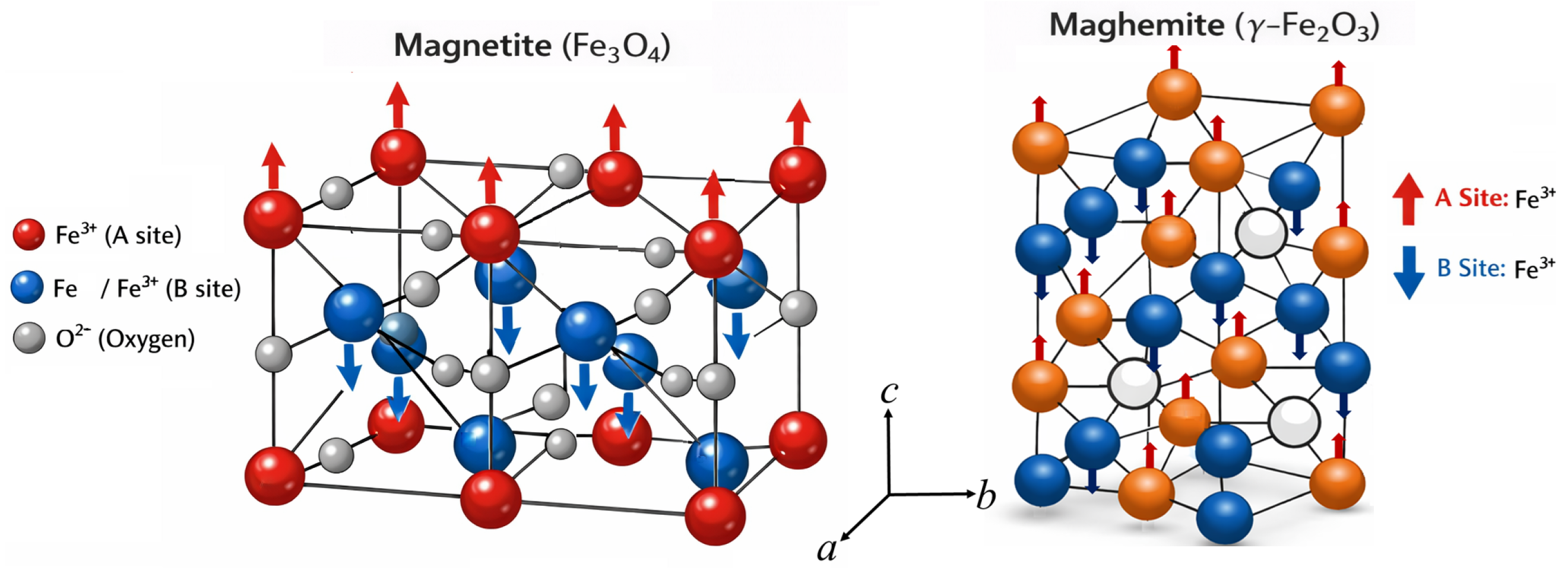 Molecules 31 01629 g005