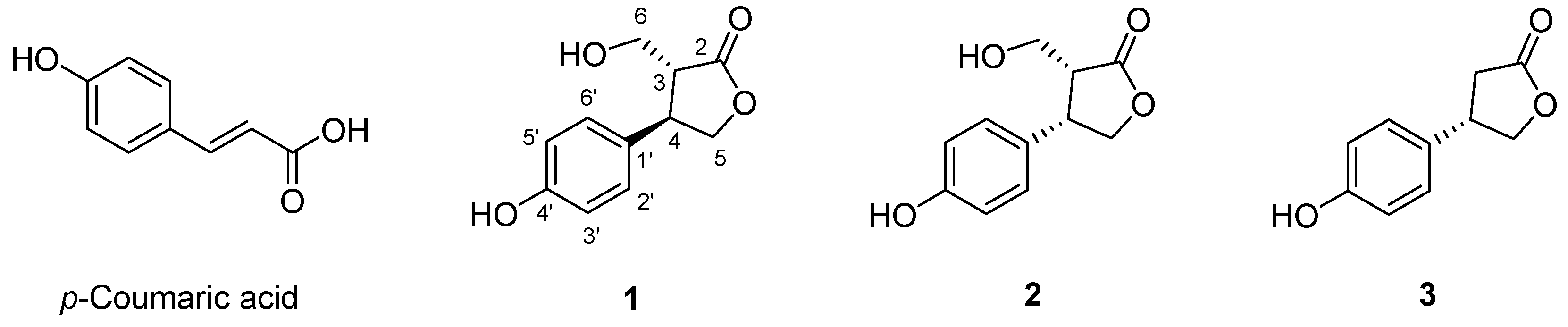 Molecules 31 01630 g001 Molecules 31 01630 g001