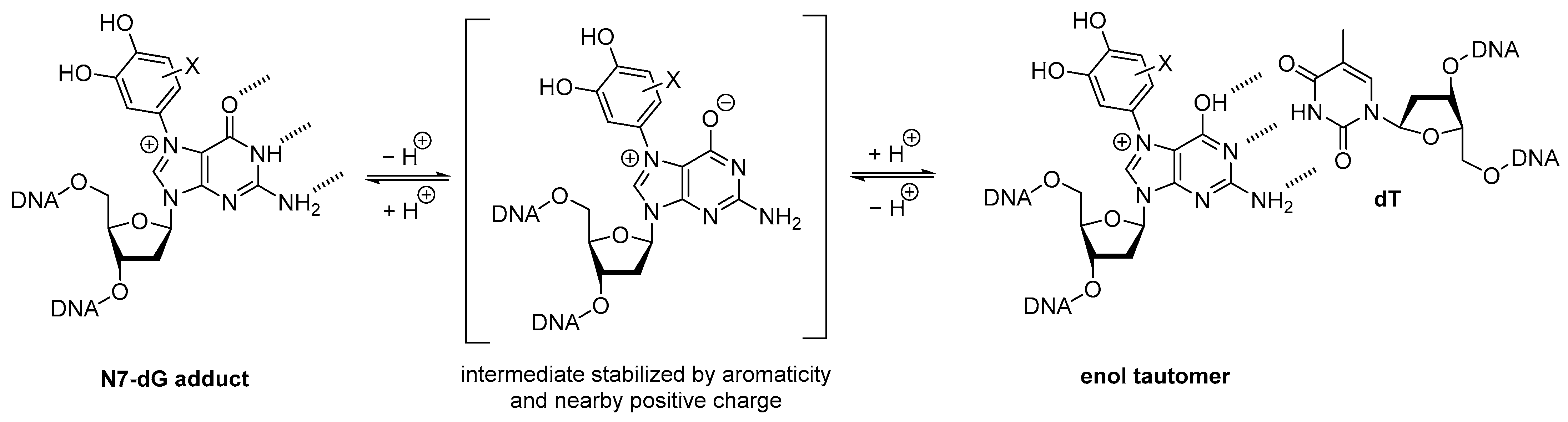 Molecules 31 01632 g007 Molecules 31 01632 g007